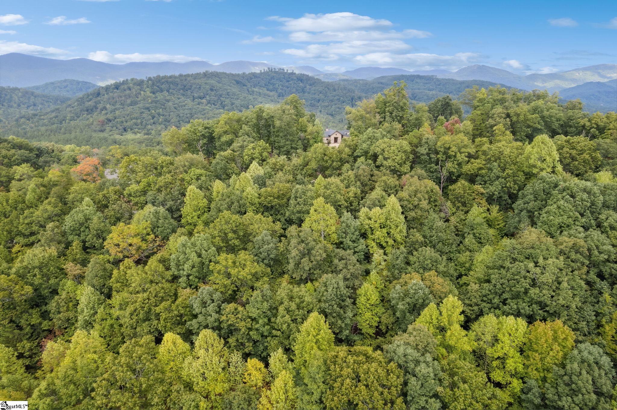 140 Crowne Hill, Marietta, South Carolina image 11