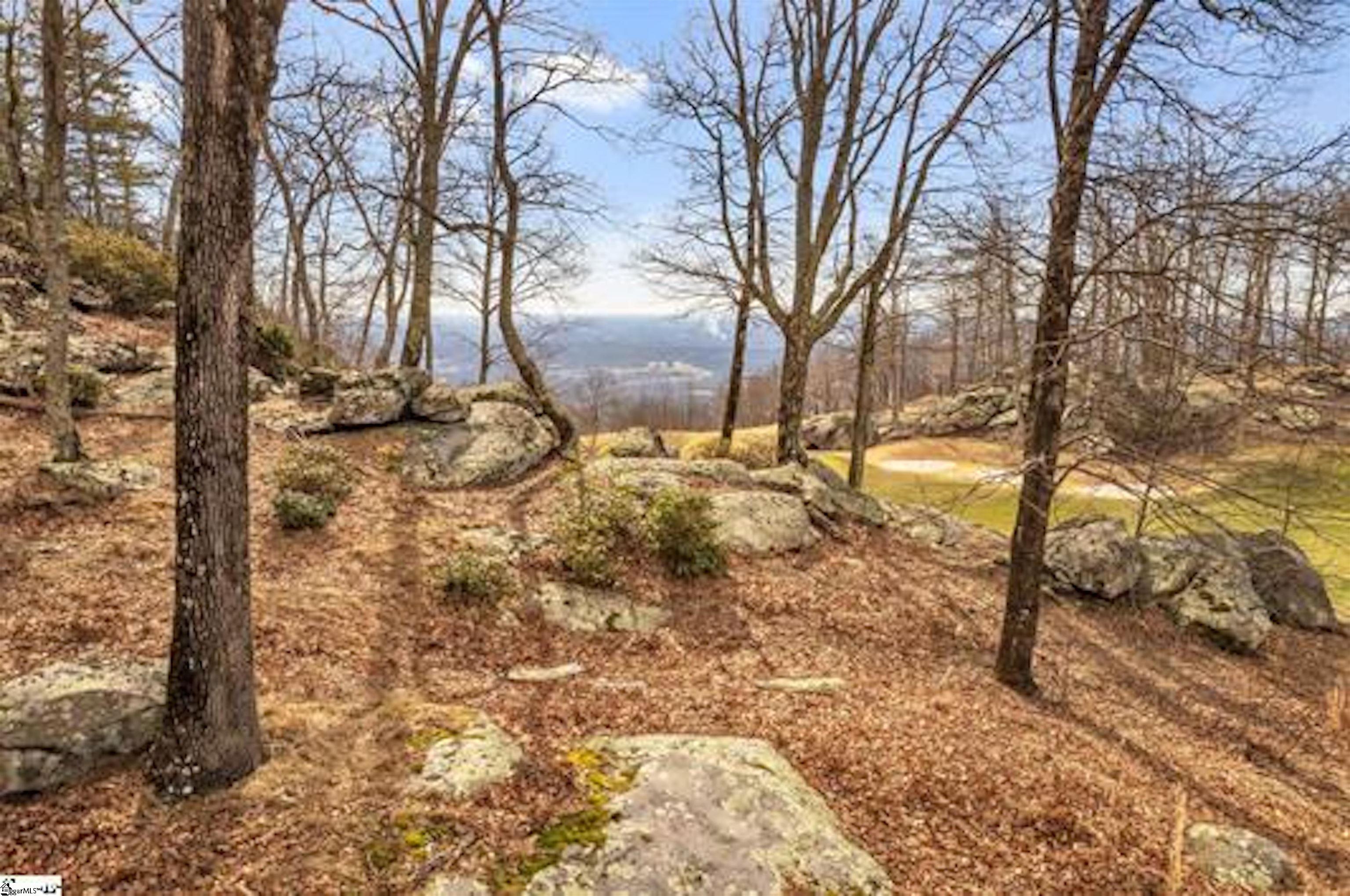 Glassy Ridge, Landrum, South Carolina image 13