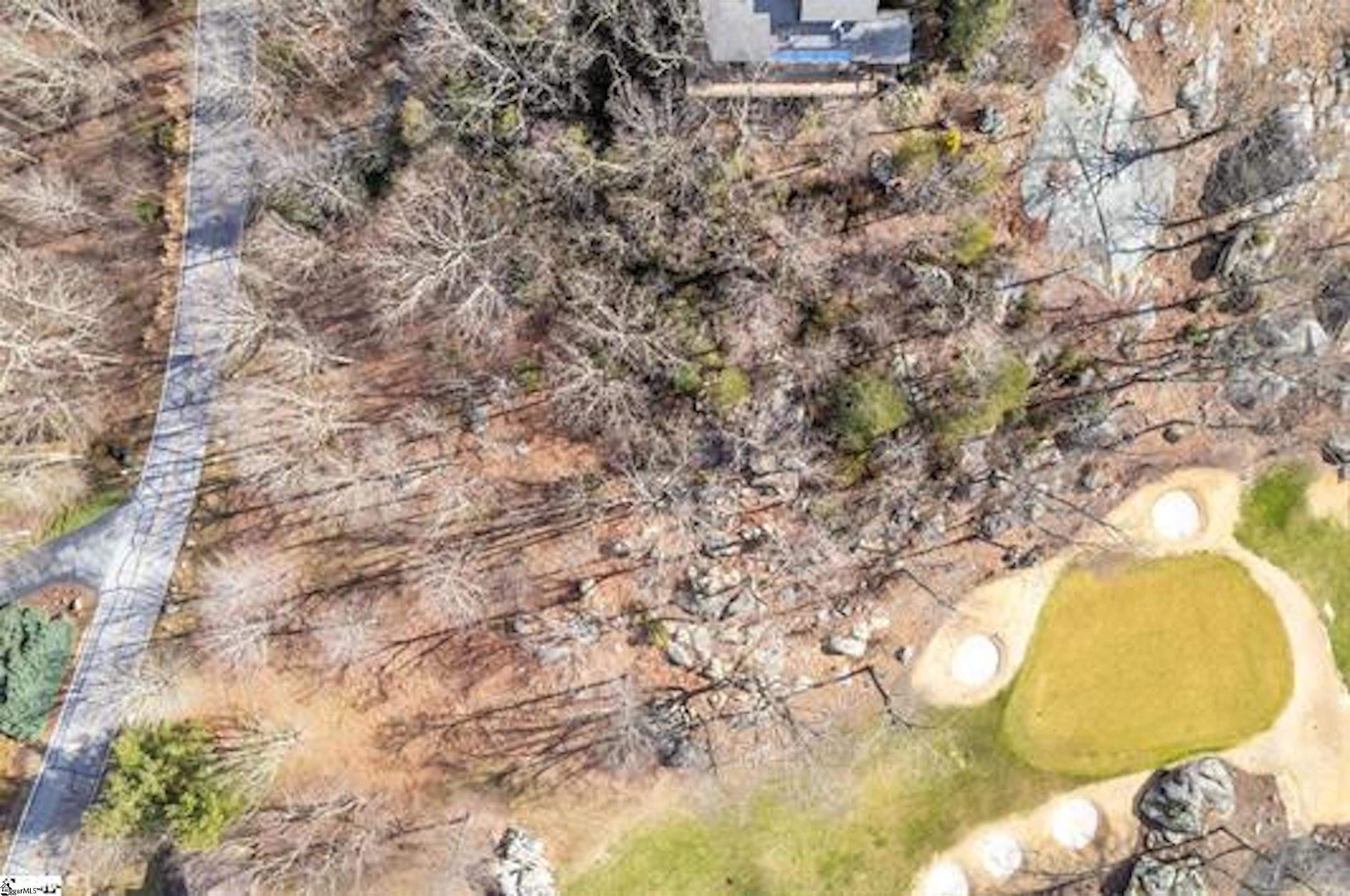 Glassy Ridge, Landrum, South Carolina image 4