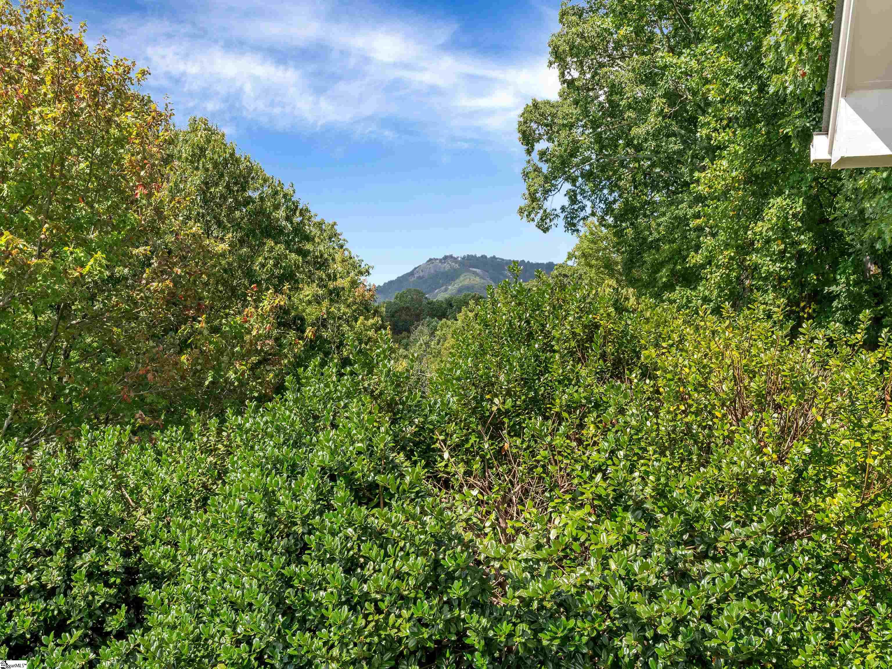 118 Blue Teal, Landrum, South Carolina image 31