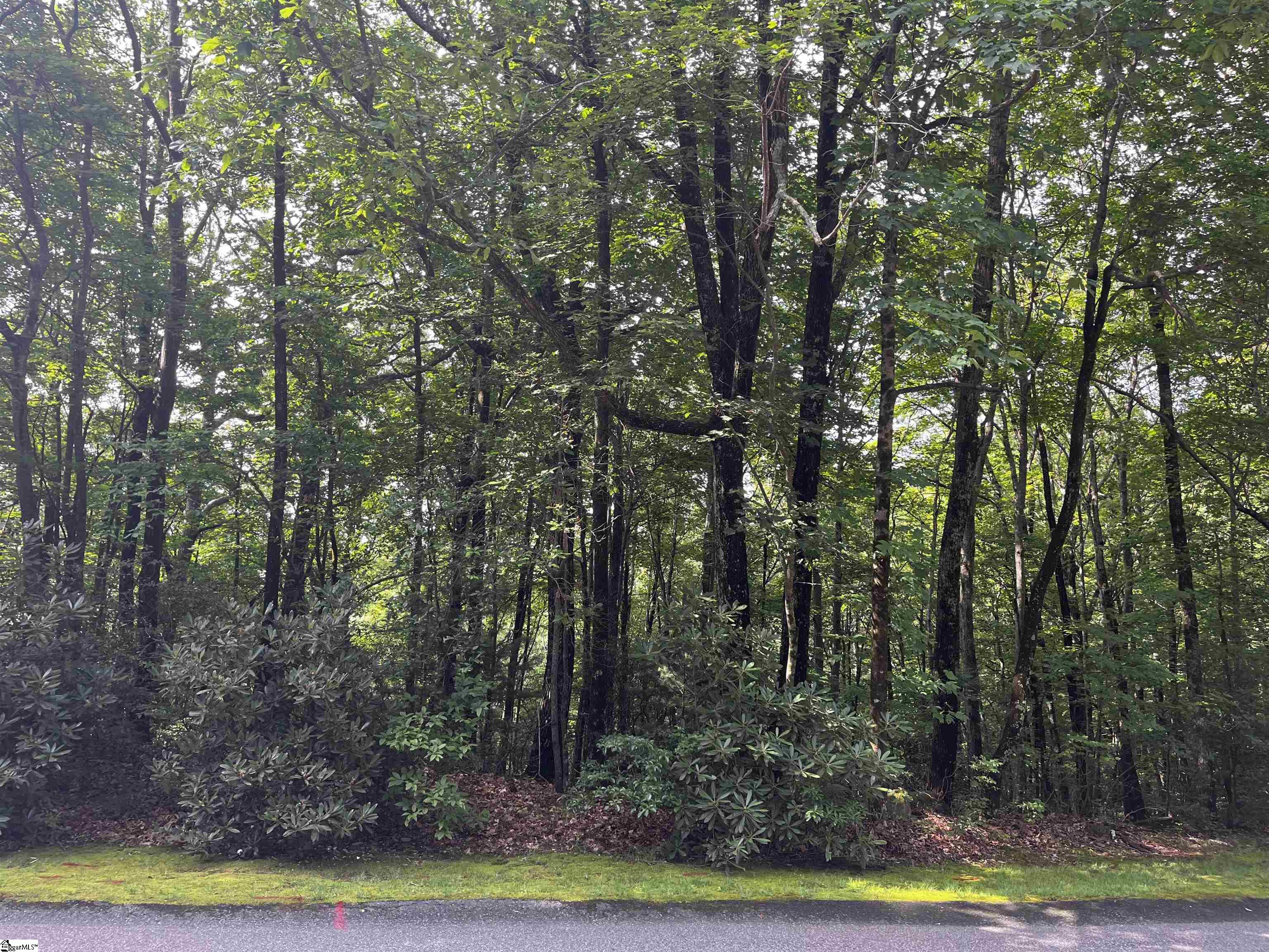 00 Cliff Ridge, Cleveland, South Carolina image 16