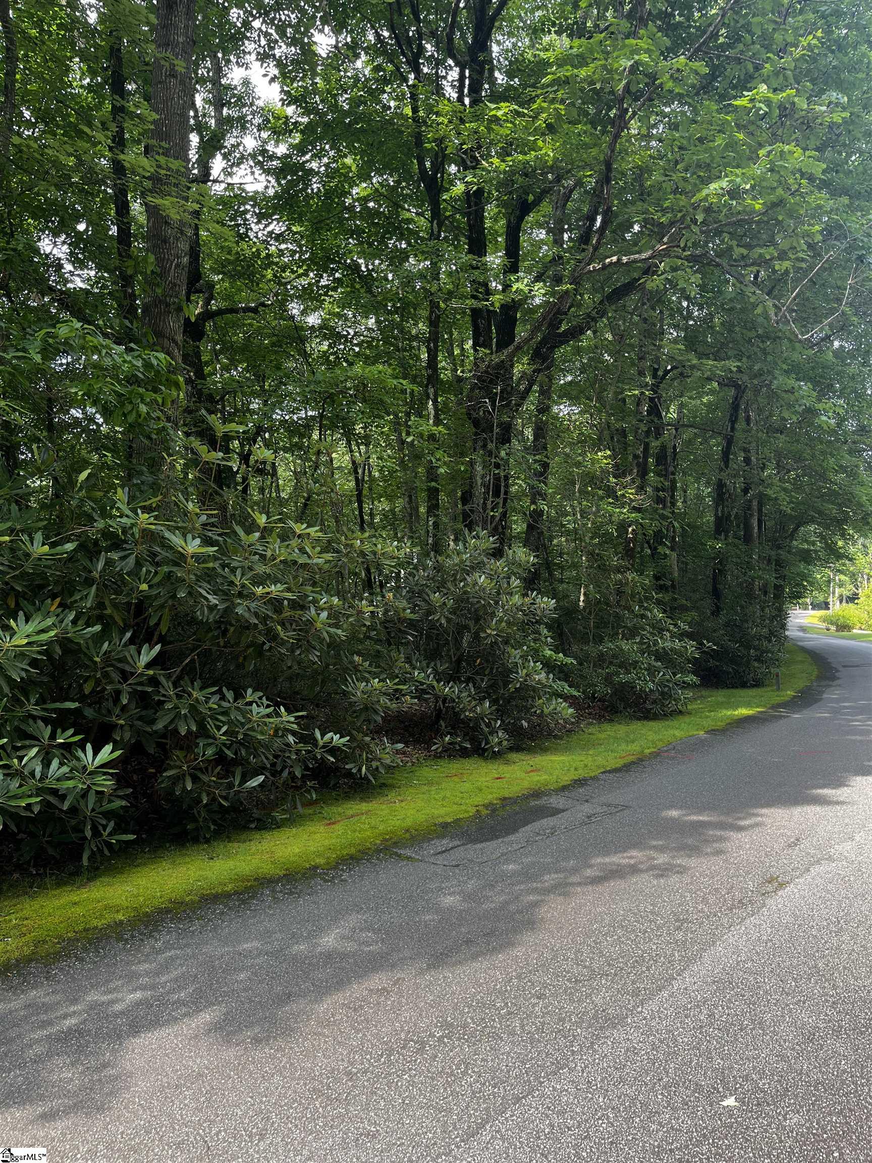 00 Cliff Ridge, Cleveland, South Carolina image 17