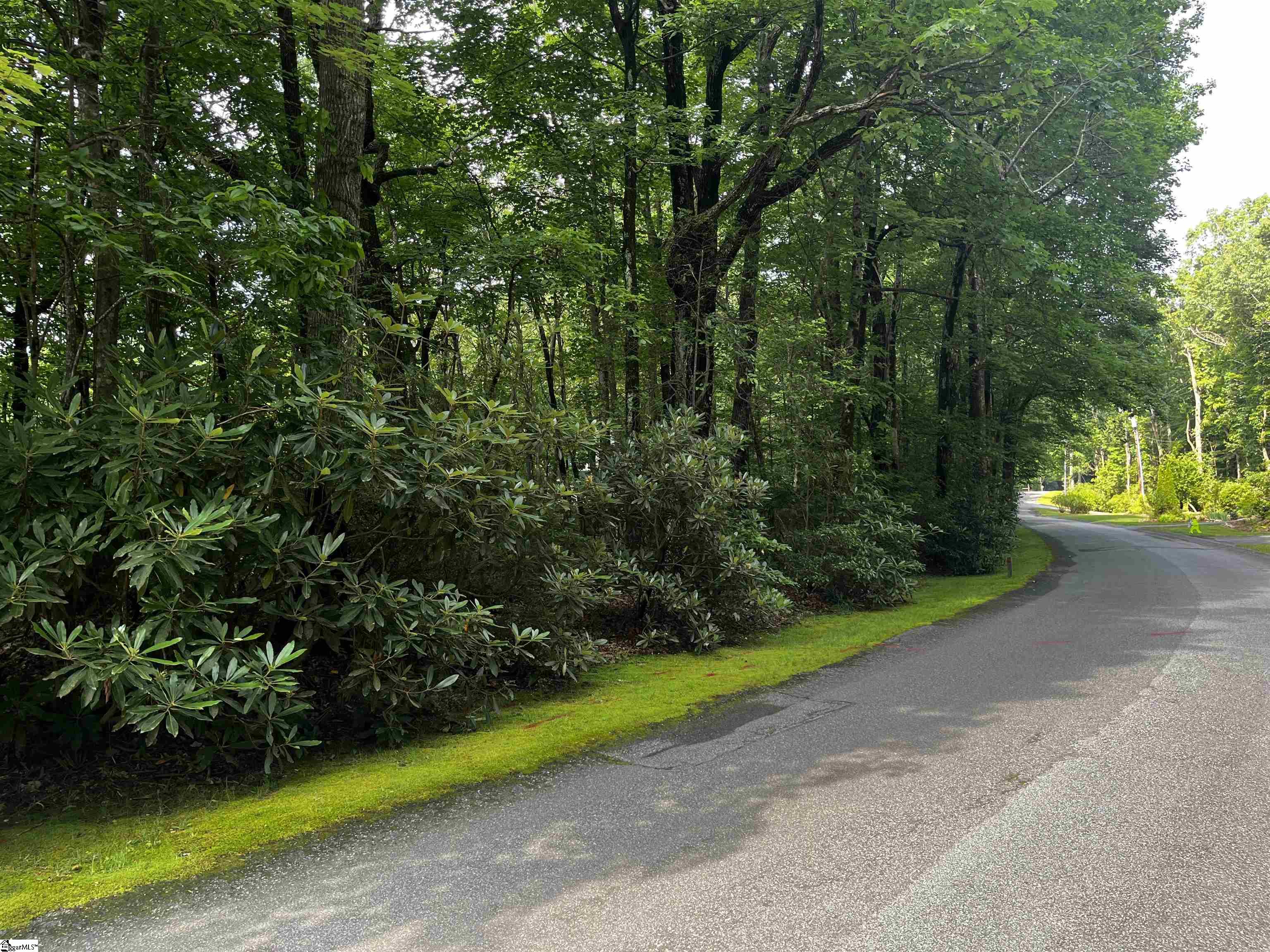 00 Cliff Ridge, Cleveland, South Carolina image 18