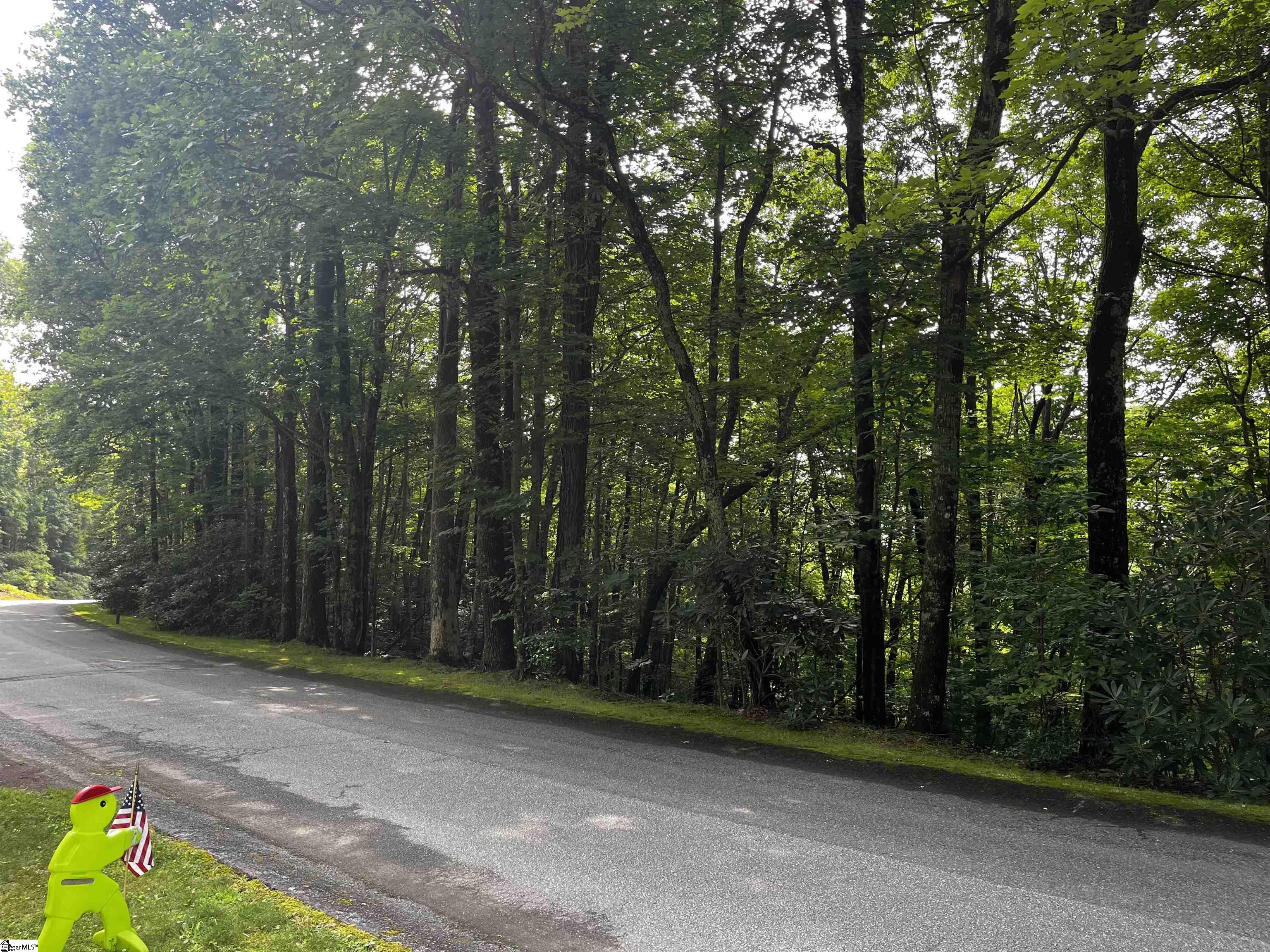 00 Cliff Ridge, Cleveland, South Carolina image 19