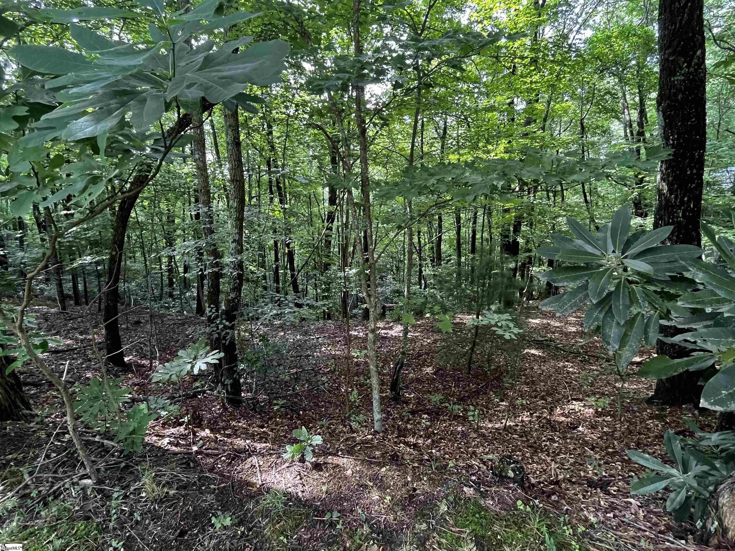 00 Cliff Ridge, Cleveland, South Carolina image 20