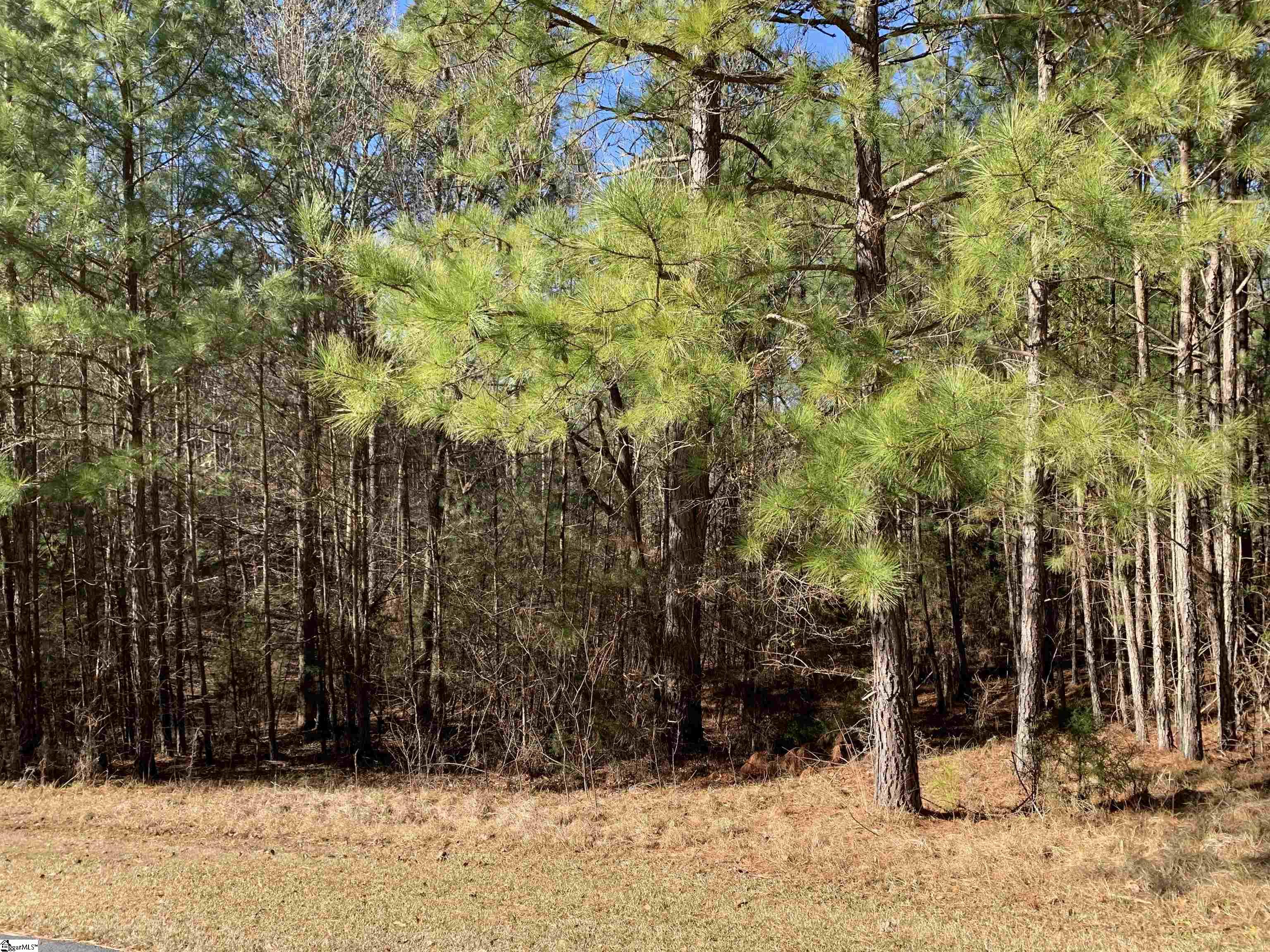 306 & 308 Watersedge Drive Cross Hill, SC 29332