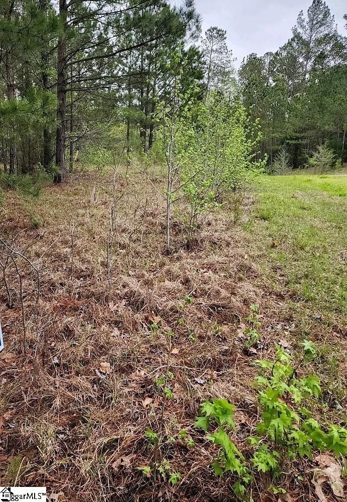306 & 308 Watersedge Drive Cross Hill, SC 29332