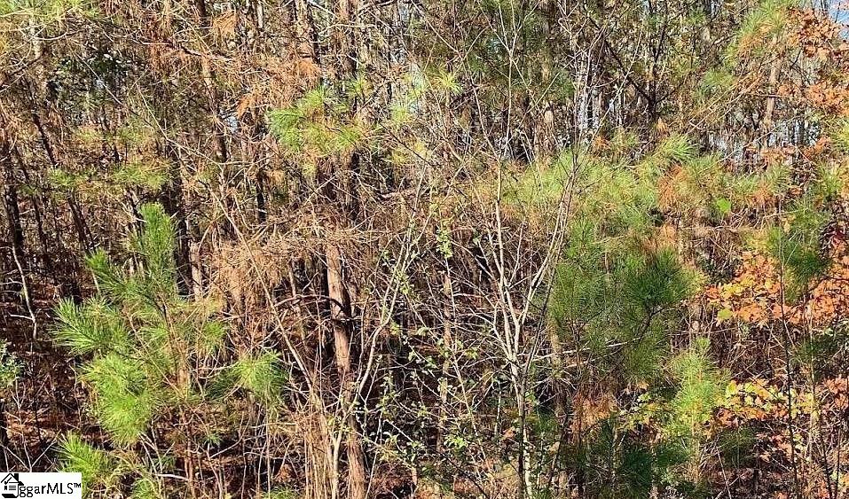 306 & 308 Watersedge Drive Cross Hill, SC 29332