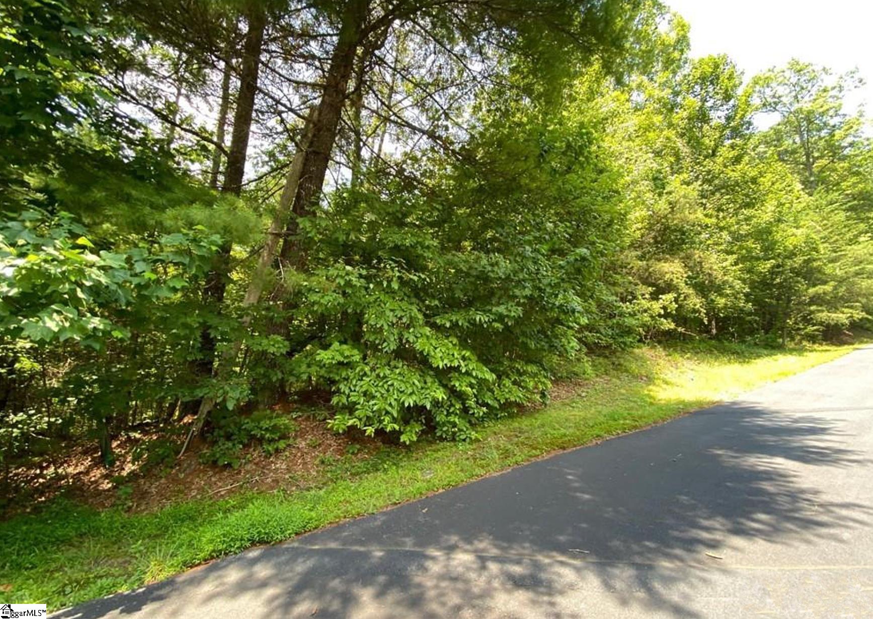 68 Stepp Ridge, Hendersonville, North Carolina image 2