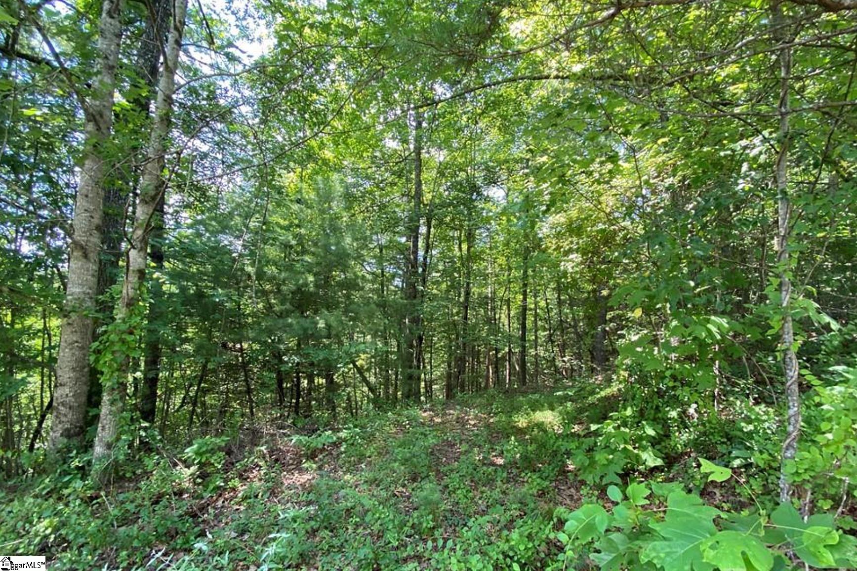 68 Stepp Ridge, Hendersonville, North Carolina image 4