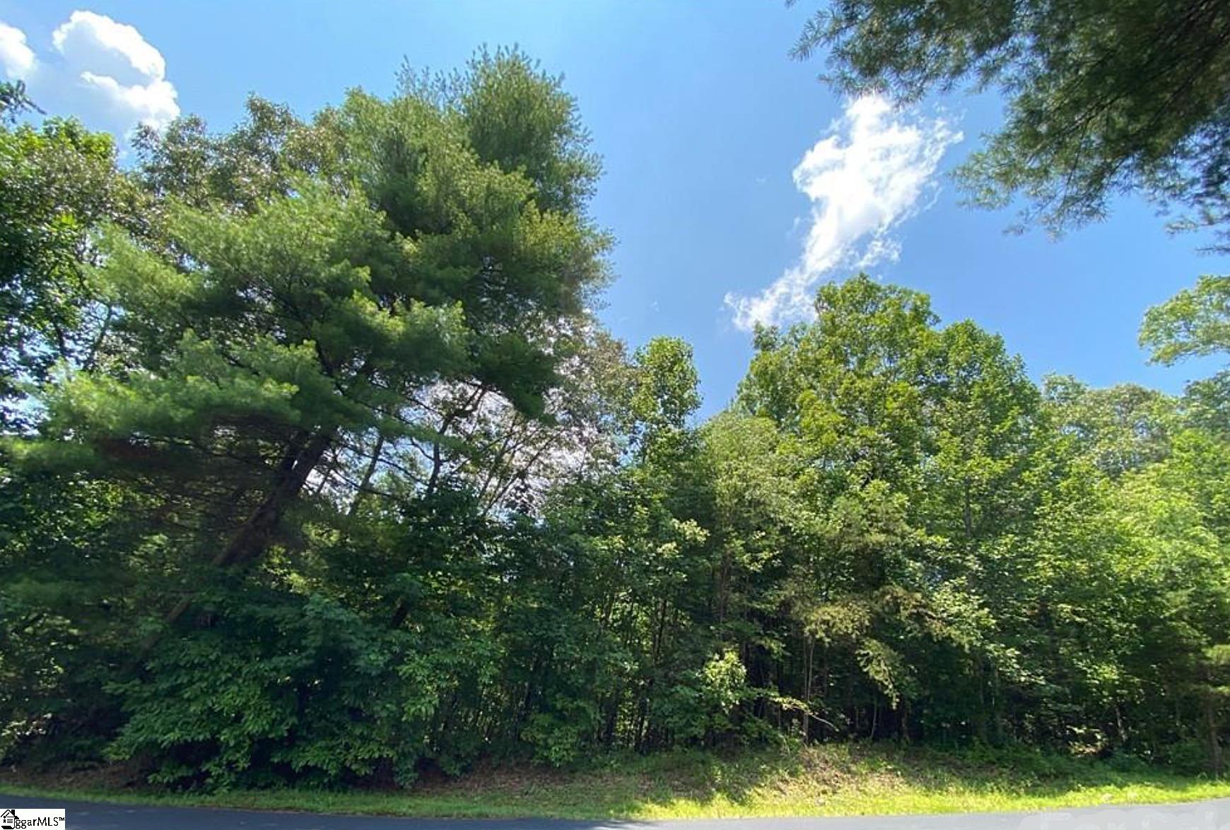 68 Stepp Ridge, Hendersonville, North Carolina image 5