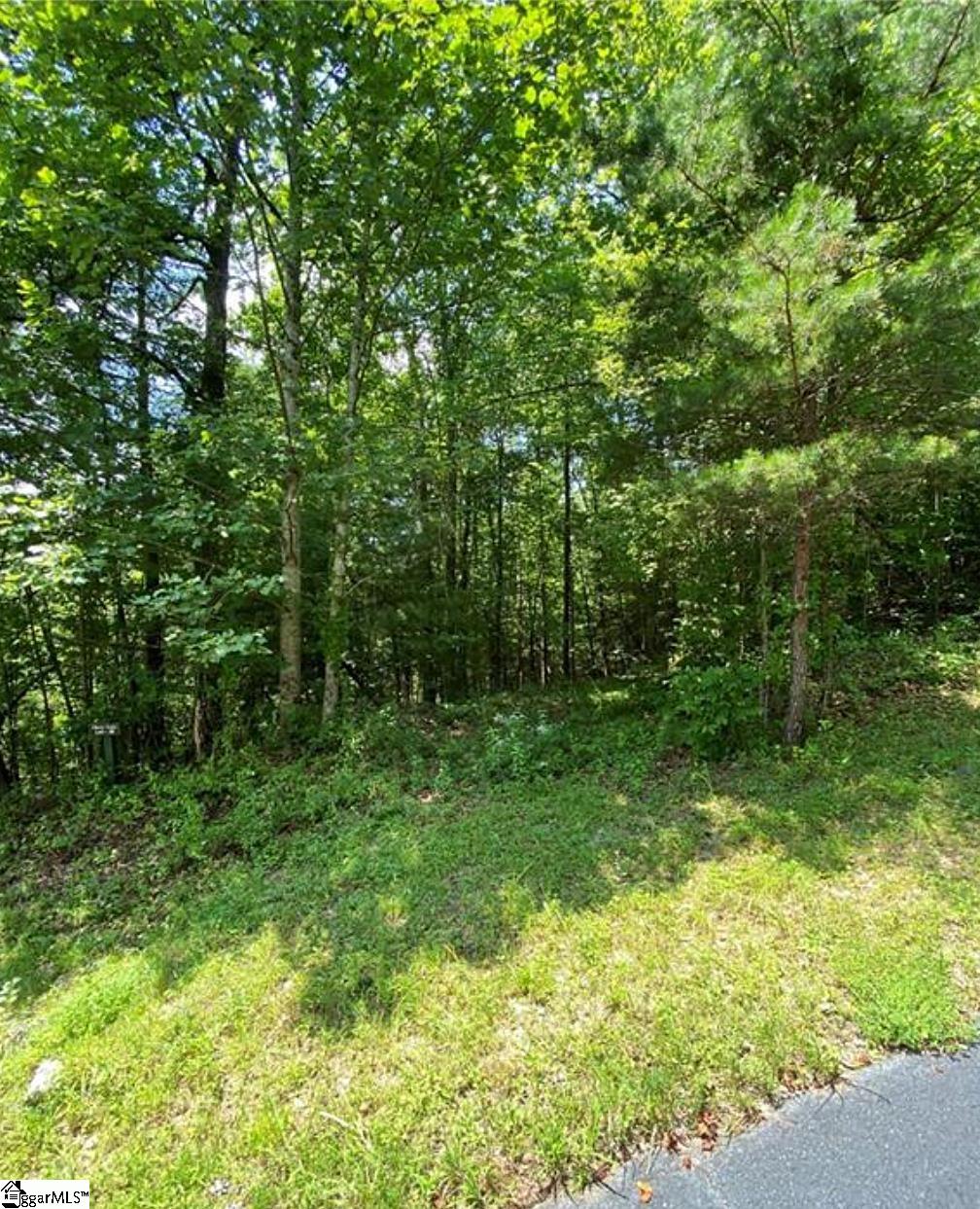 68 Stepp Ridge, Hendersonville, North Carolina image 7