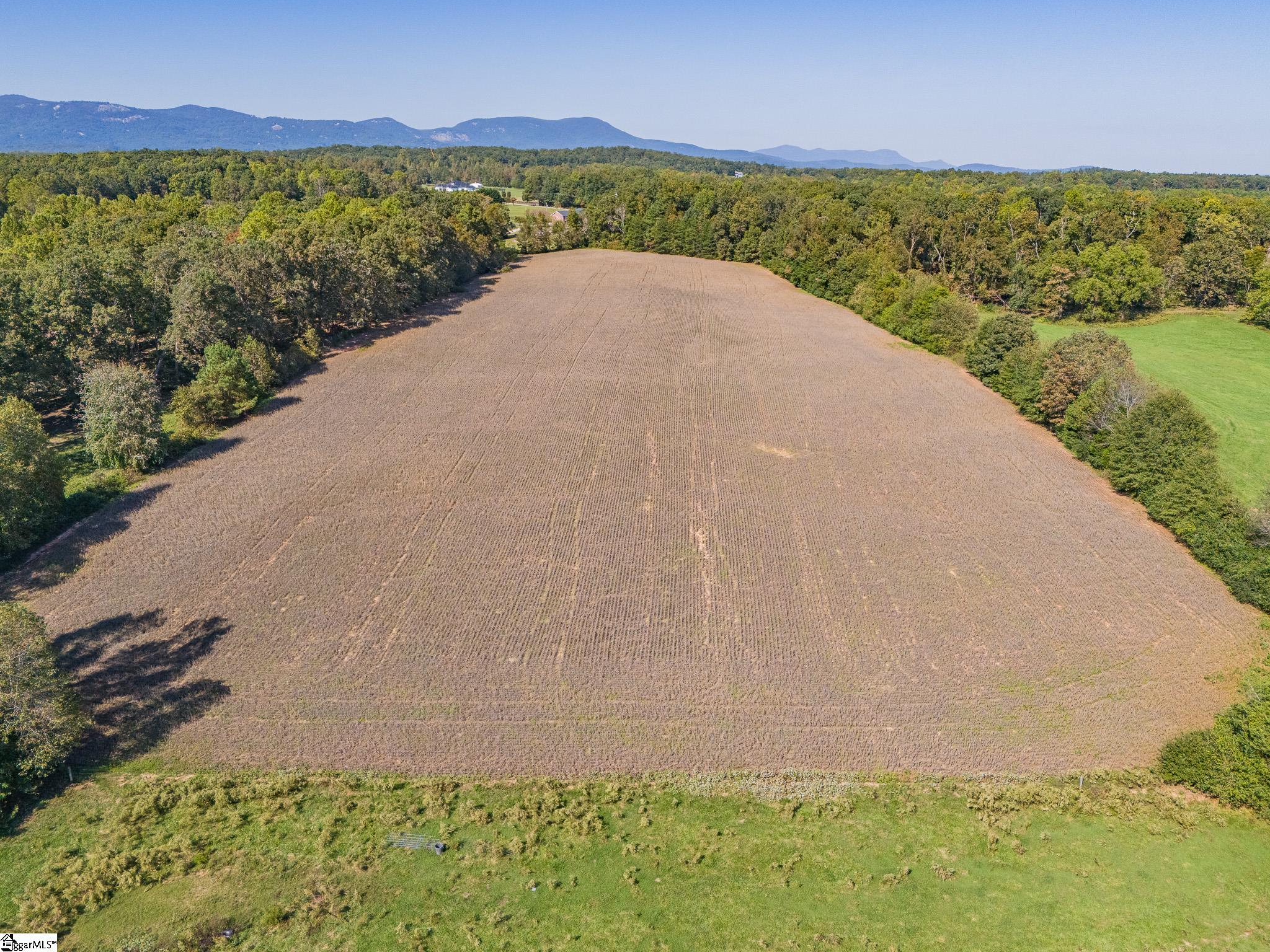 00 Ridge, Greer, South Carolina image 2