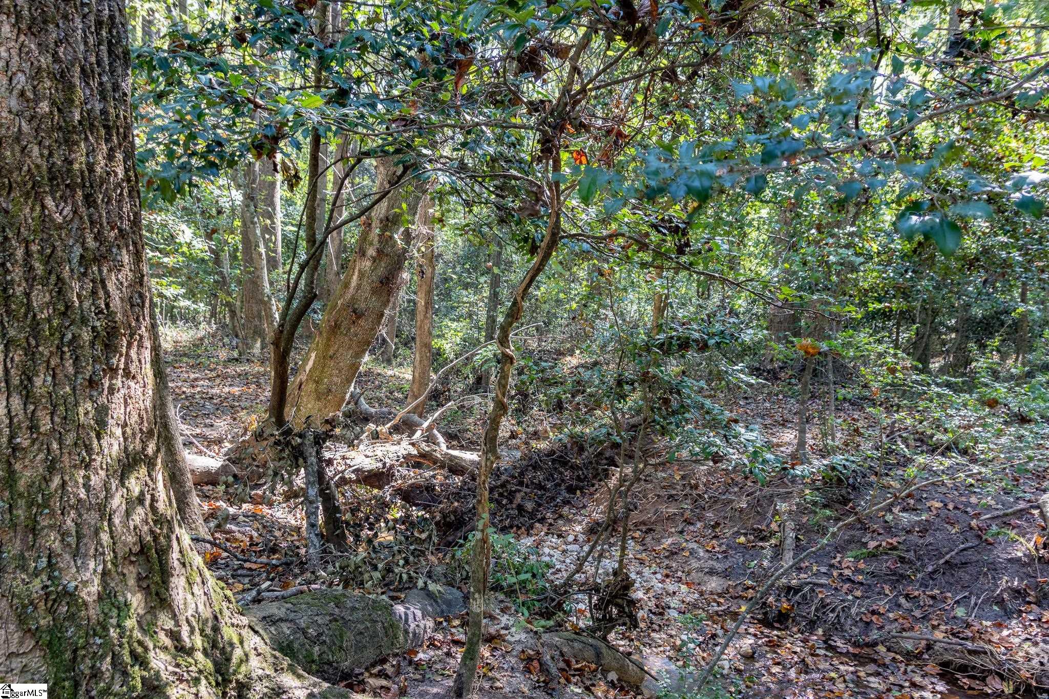 00 Ridge, Greer, South Carolina image 2