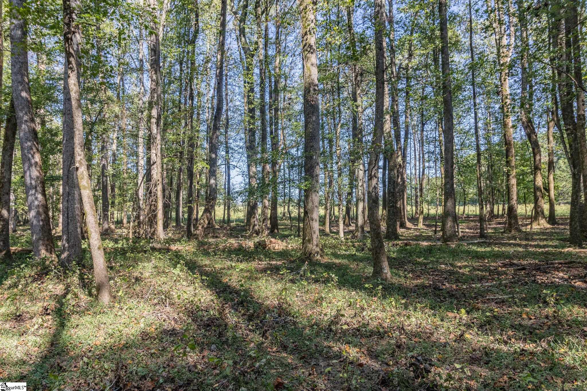 00 Ridge, Greer, South Carolina image 3