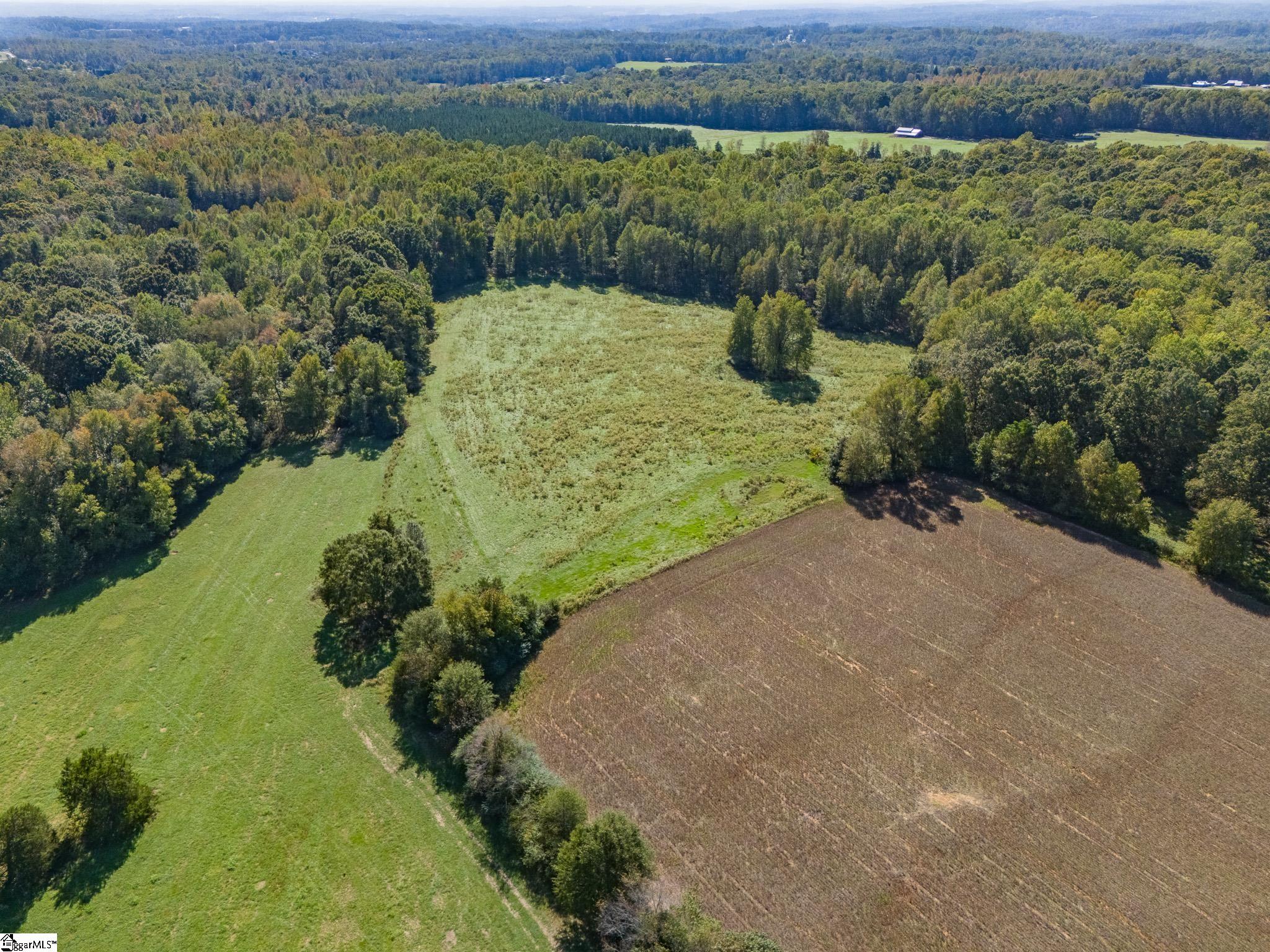 00 Ridge, Greer, South Carolina image 4