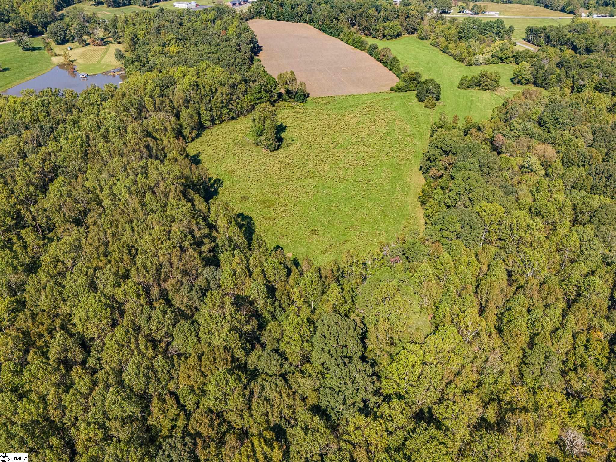00 Ridge, Greer, South Carolina image 6