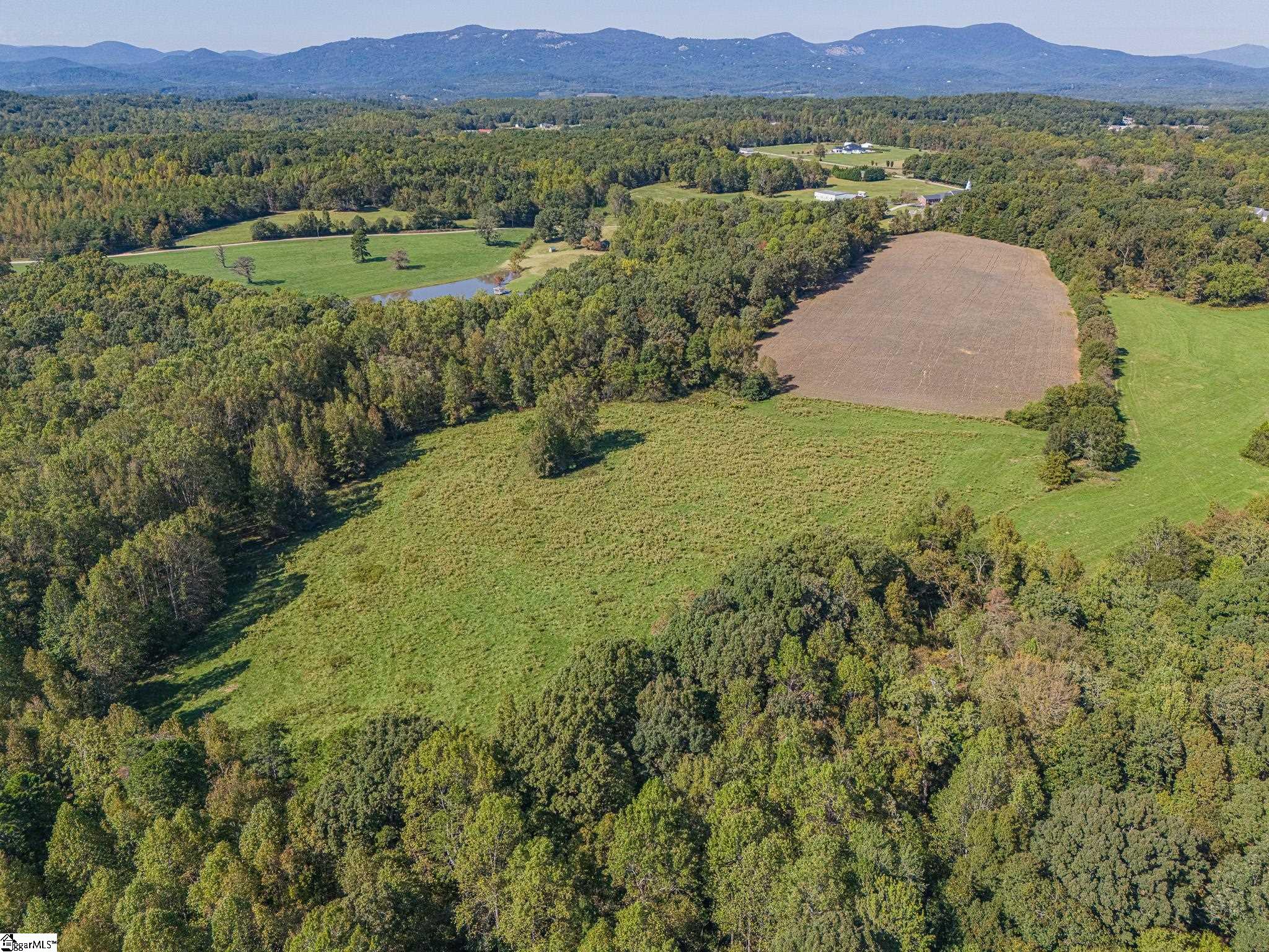 00 Ridge, Greer, South Carolina image 8