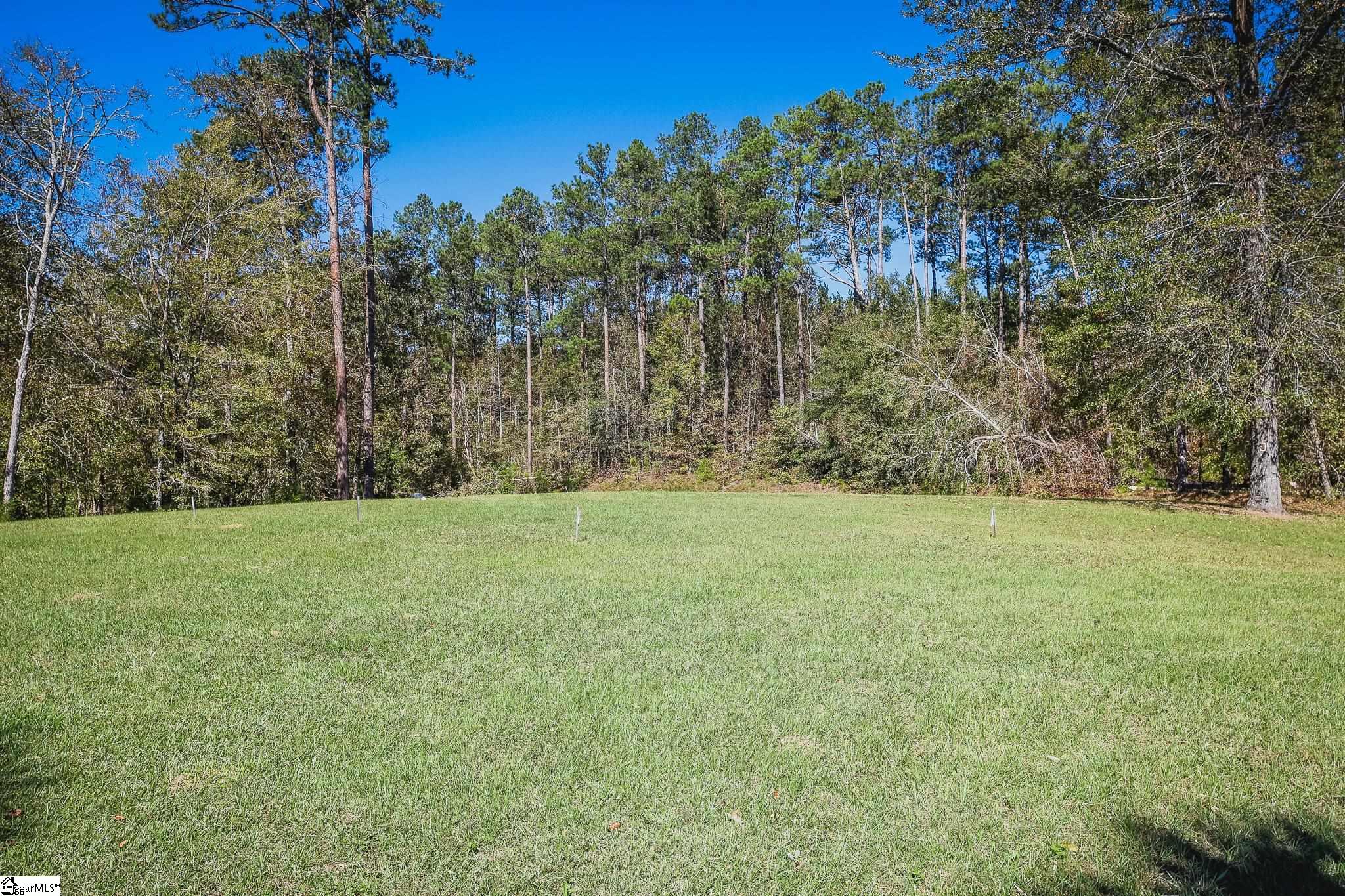 Lot 123 & Pineland Road Cross Hill, SC 29332