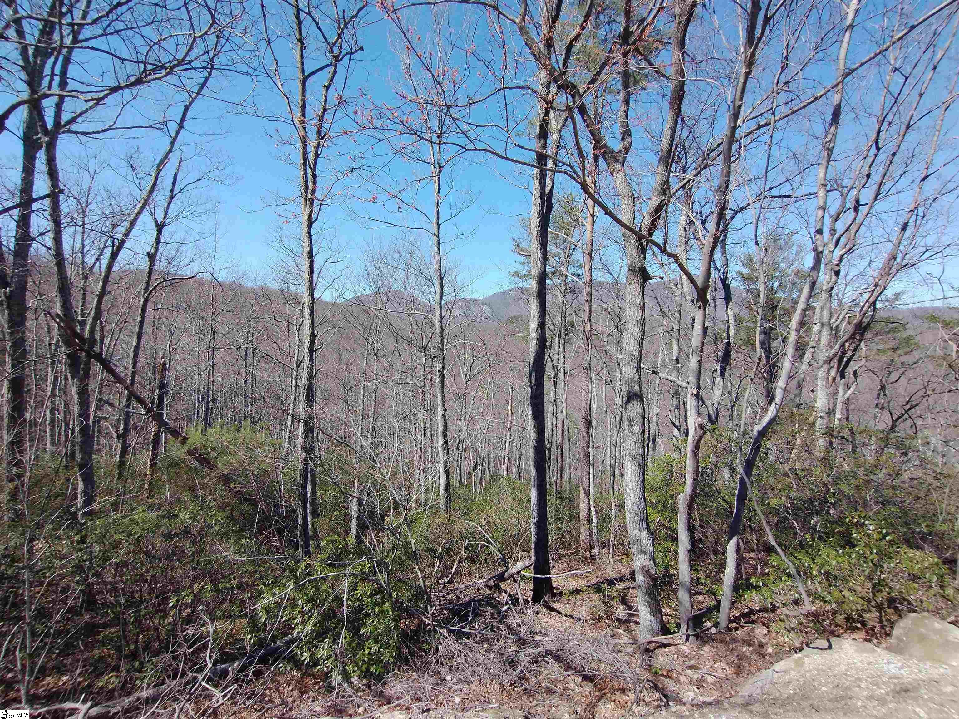 207 Eagle Rock Road, Landrum SC 29356