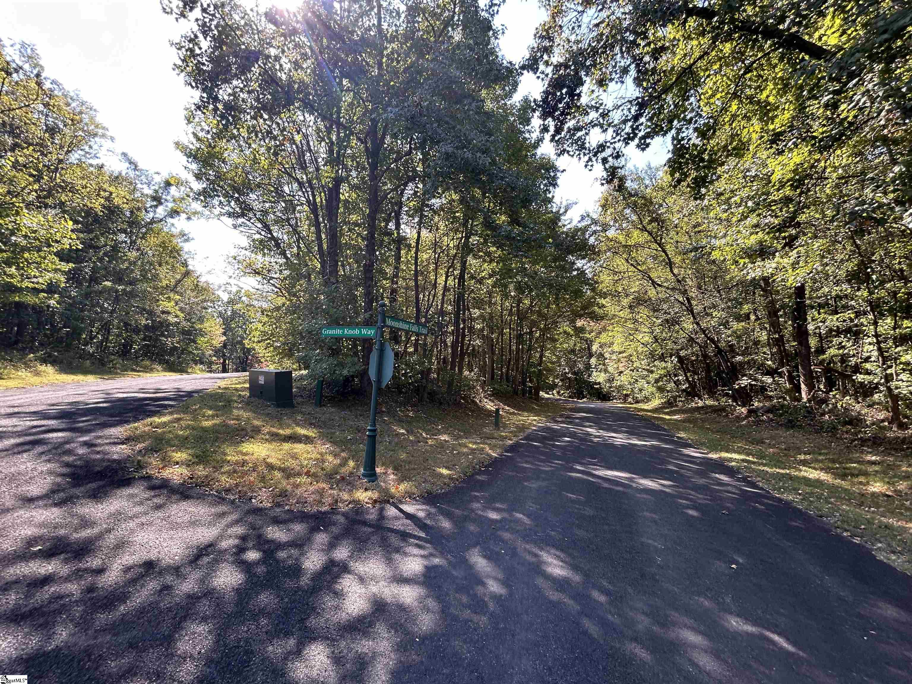 35 Moonshine Falls, Landrum, South Carolina image 1