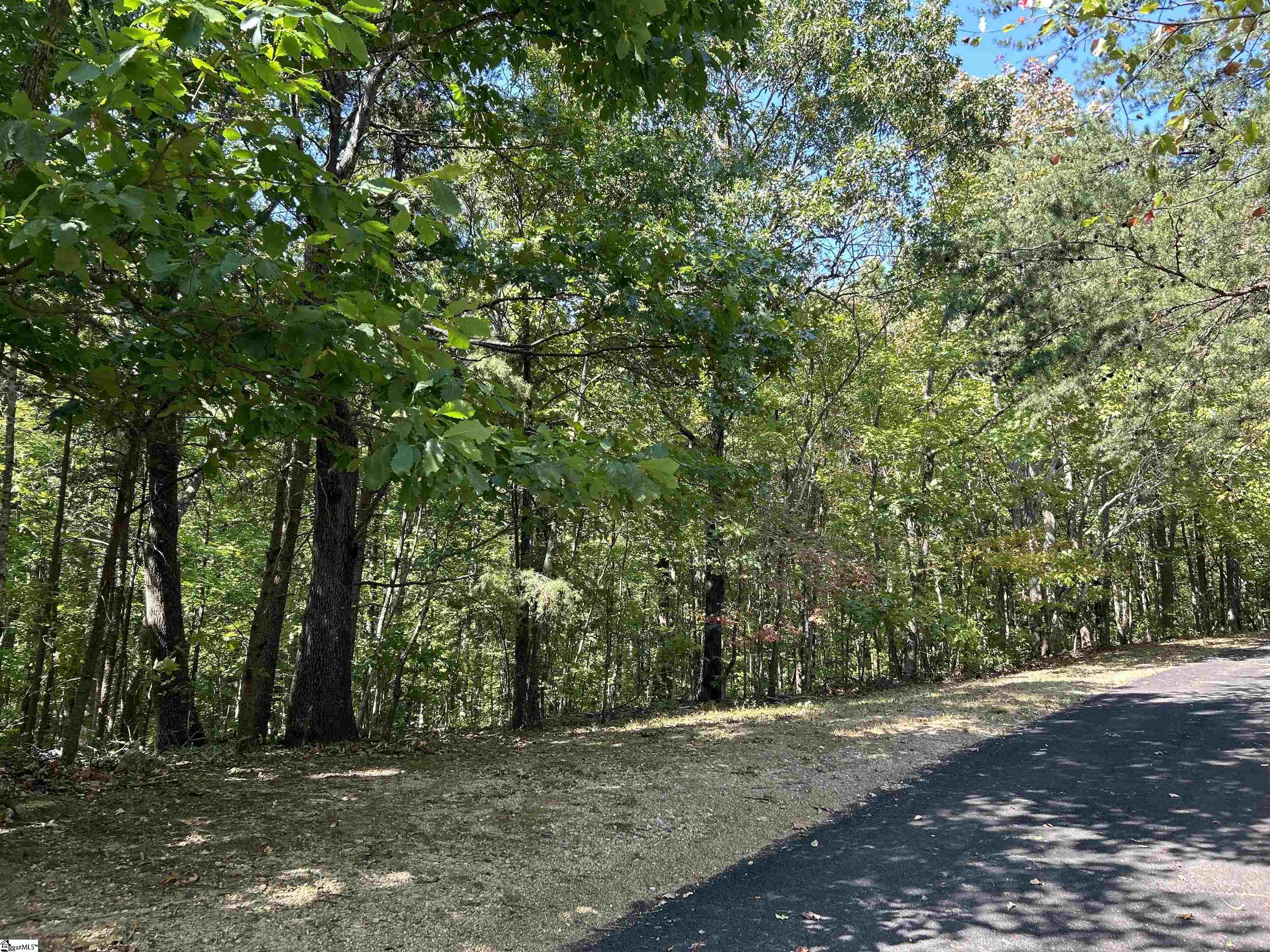 35 Moonshine Falls, Landrum, South Carolina image 2