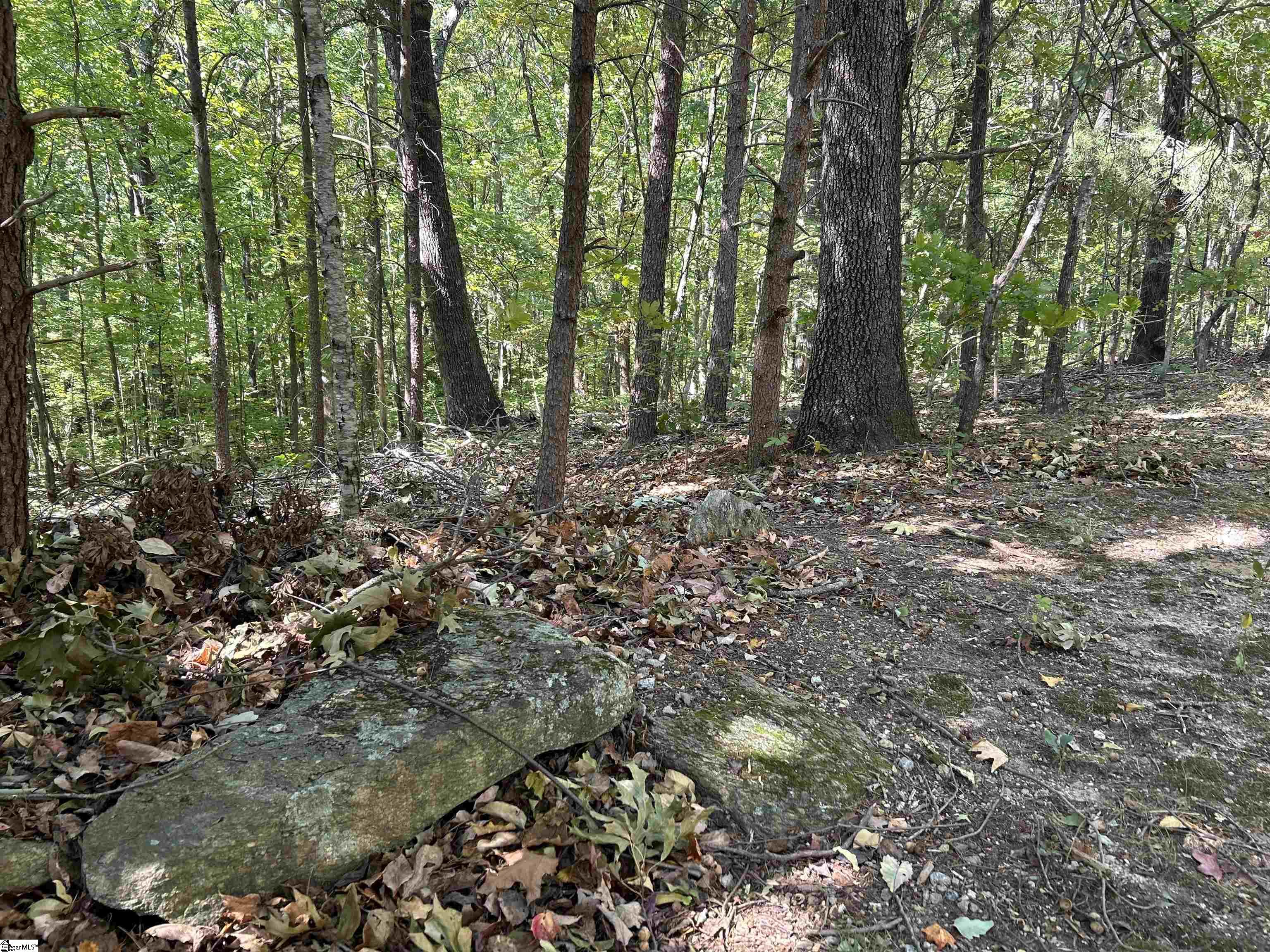 35 Moonshine Falls, Landrum, South Carolina image 3