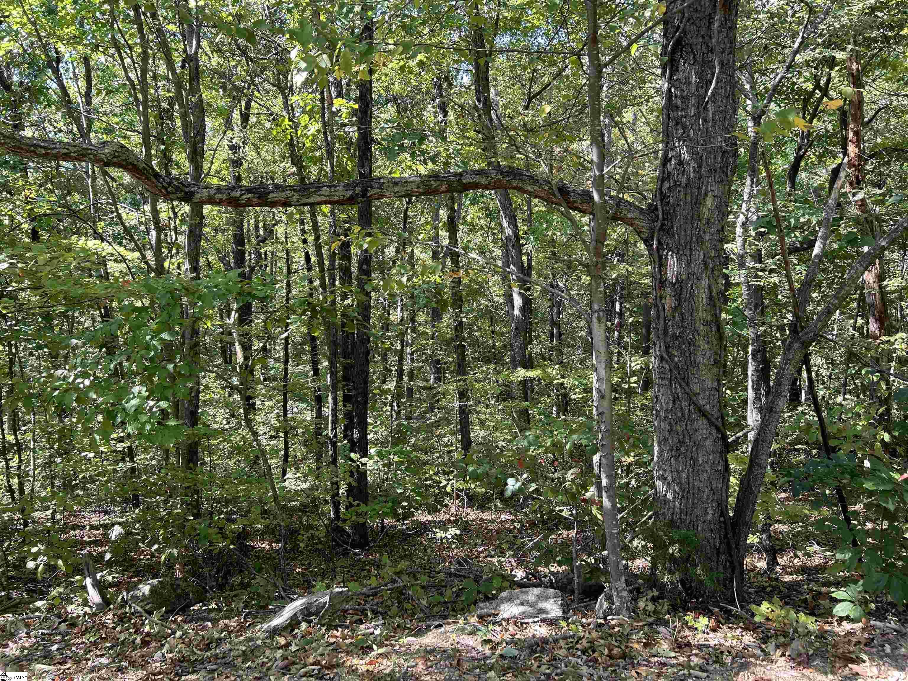35 Moonshine Falls, Landrum, South Carolina image 4