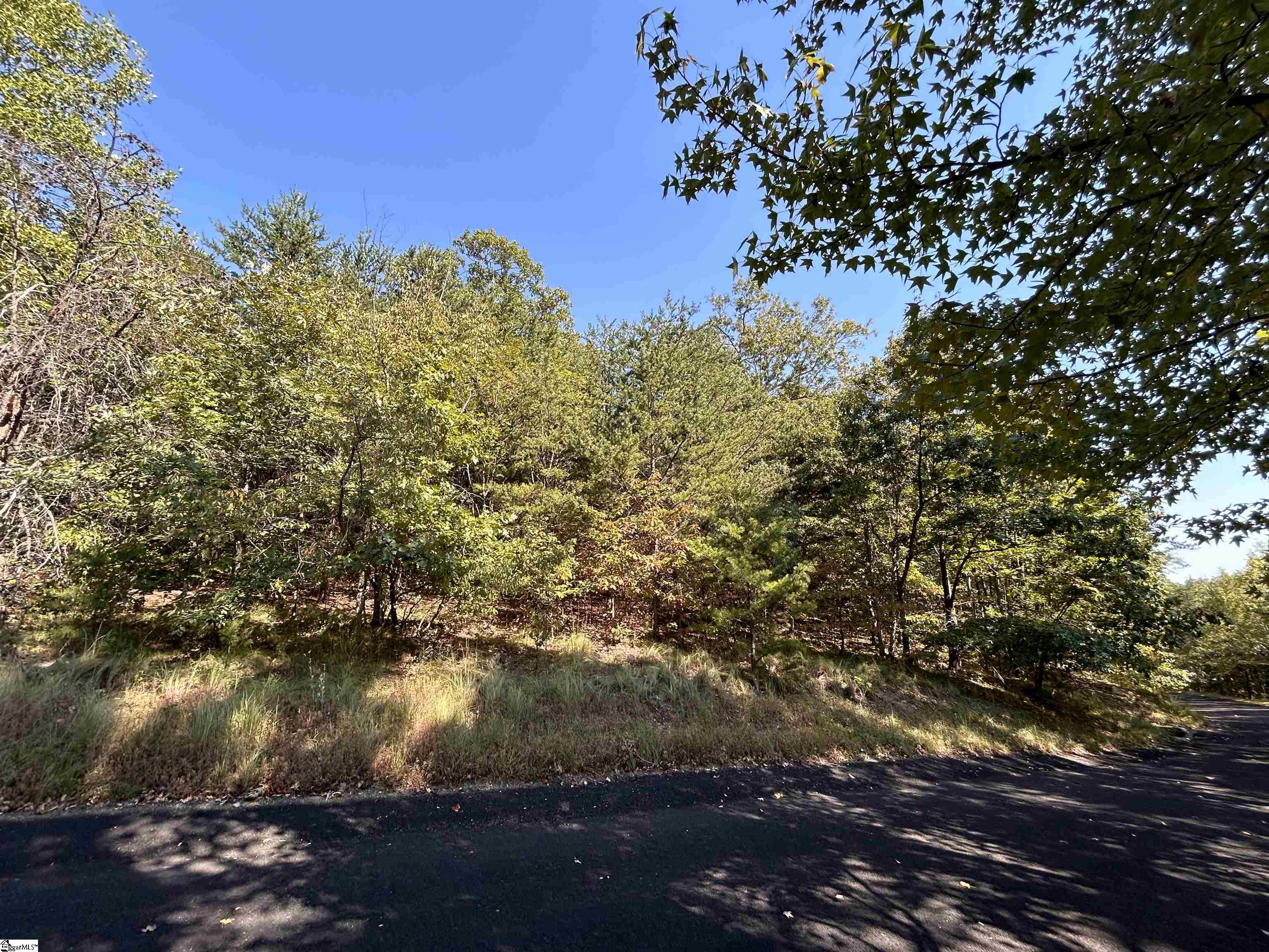 12 Granite Knob, Landrum, South Carolina image 1