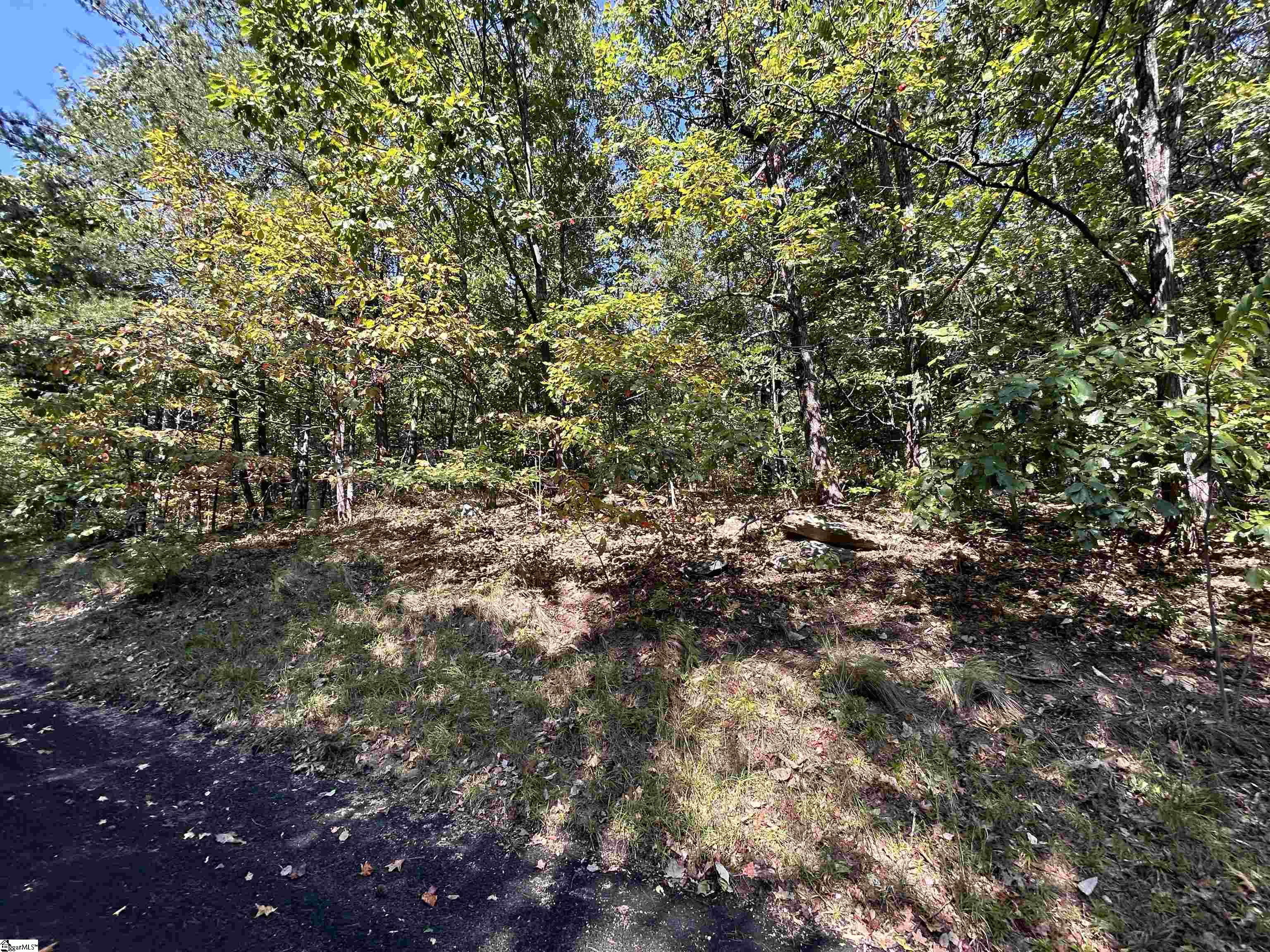 12 Granite Knob, Landrum, South Carolina image 2