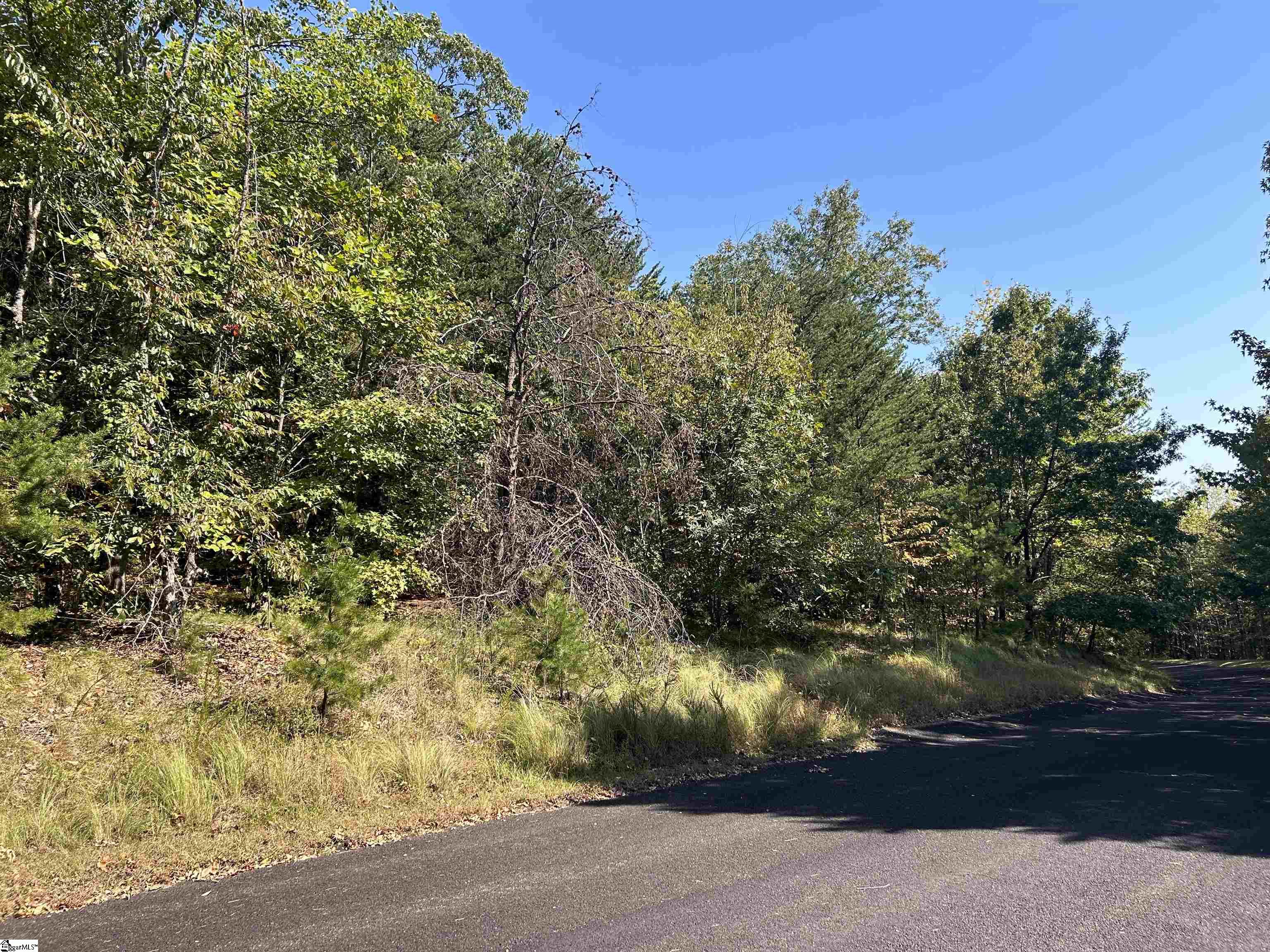 12 Granite Knob, Landrum, South Carolina image 3