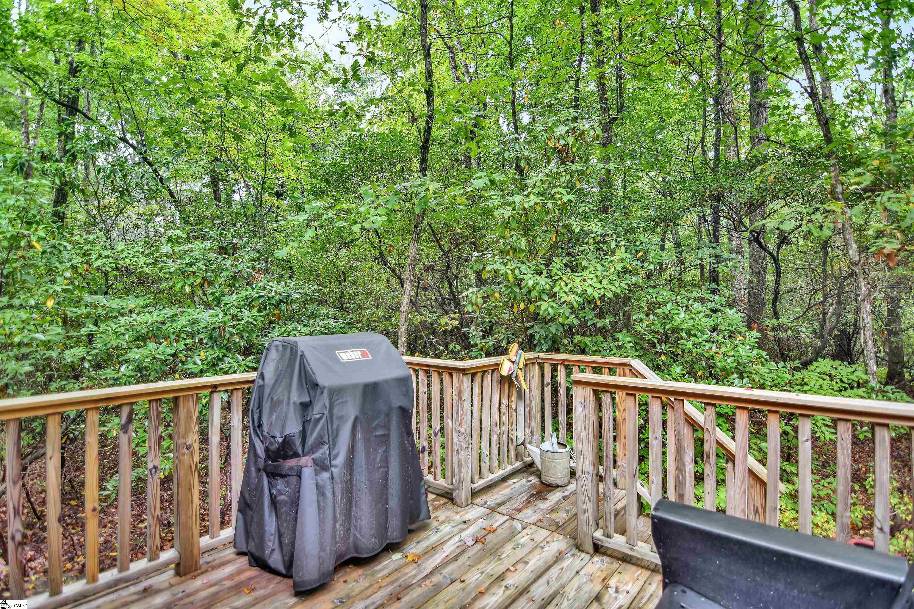 316 Hemlock, Cleveland, South Carolina image 21