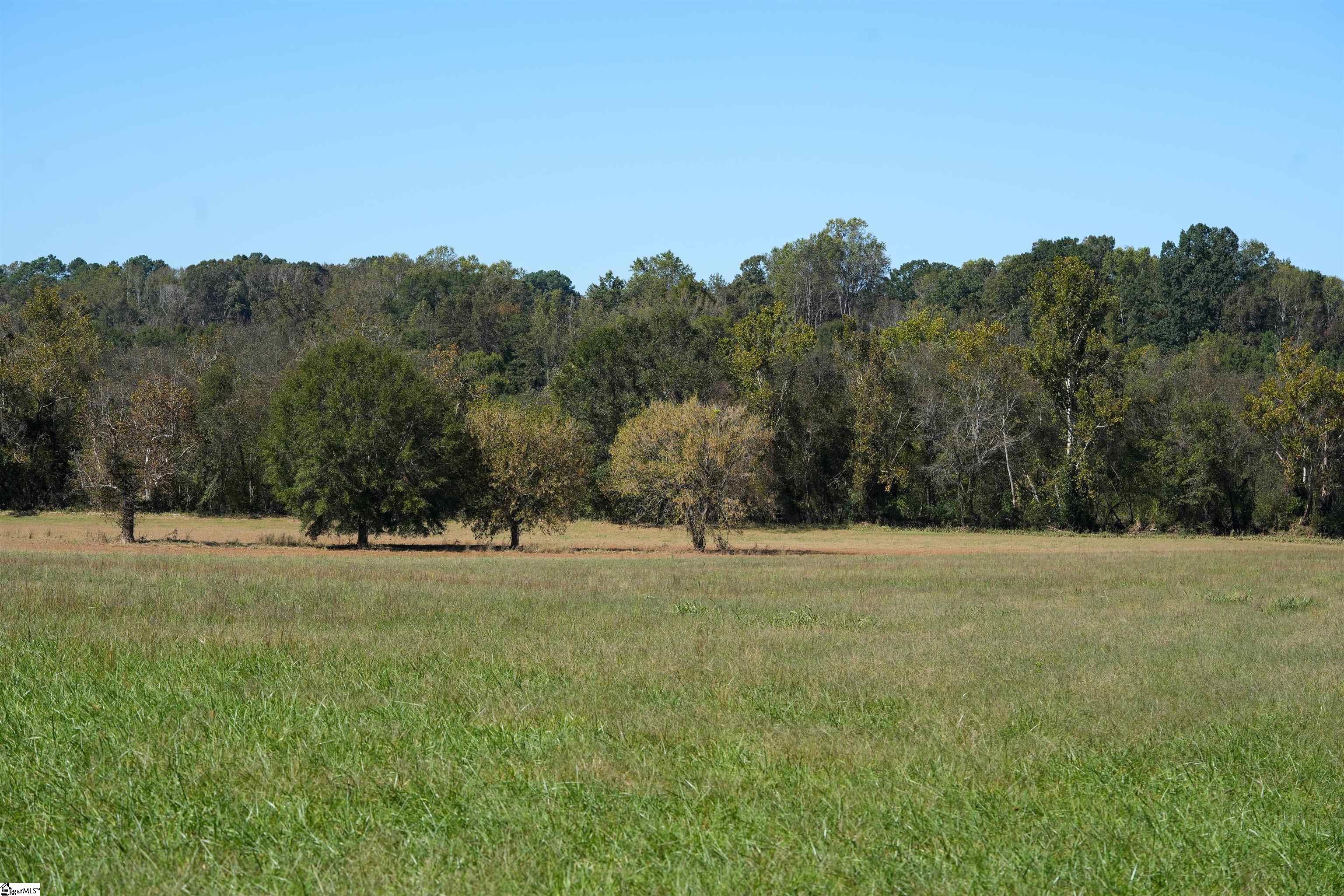 000 N Pacolet, Landrum, South Carolina image 4