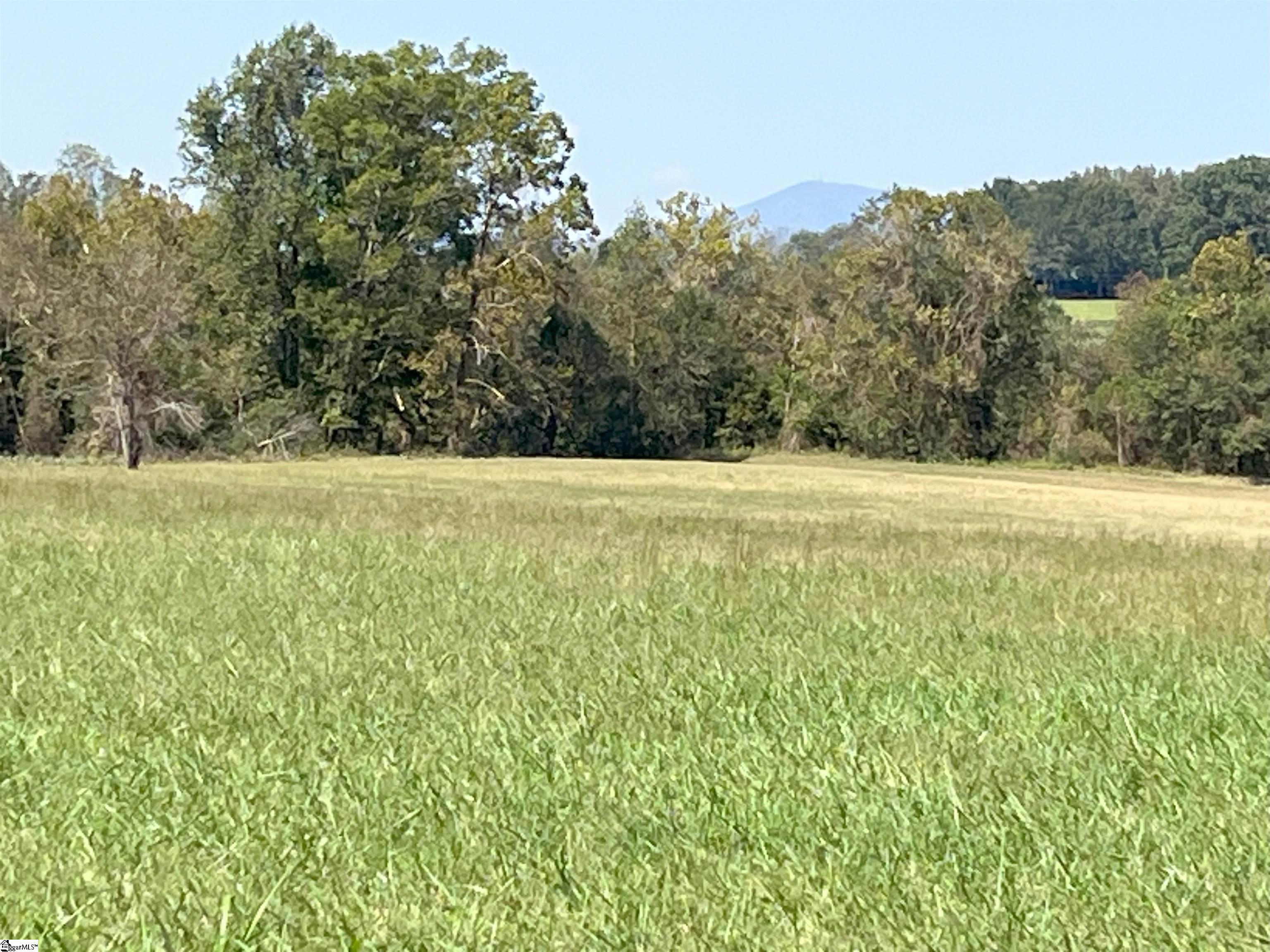 000 N Pacolet, Landrum, South Carolina image 5