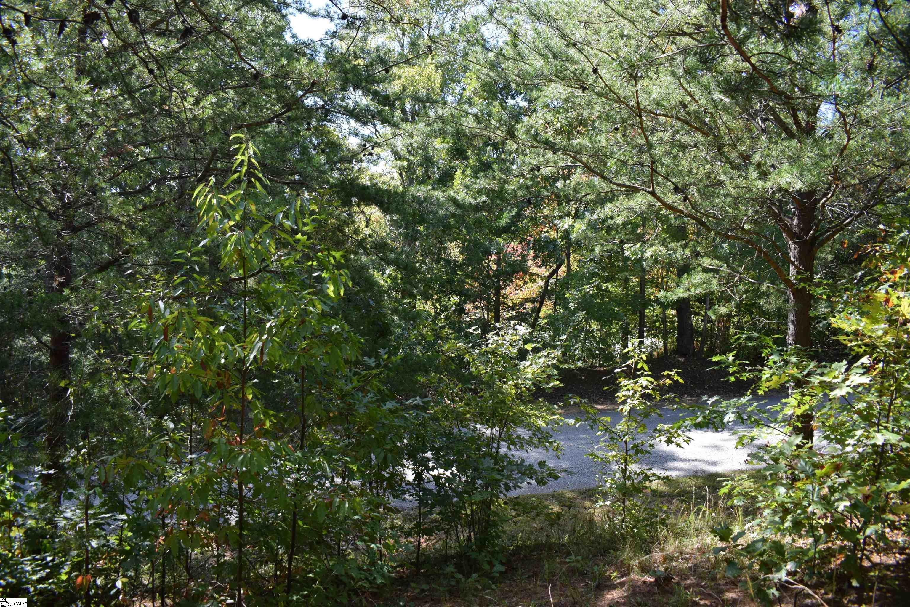 Holland, Columbus, North Carolina image 2