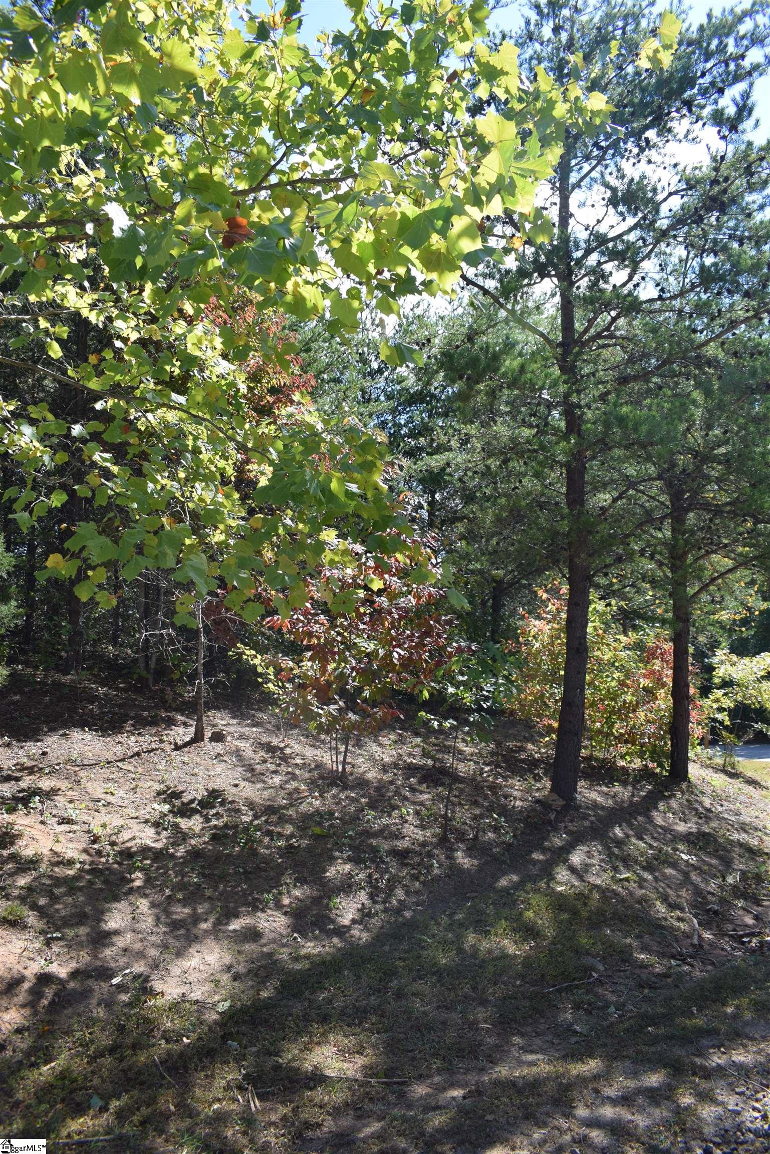 Holland, Columbus, North Carolina image 12