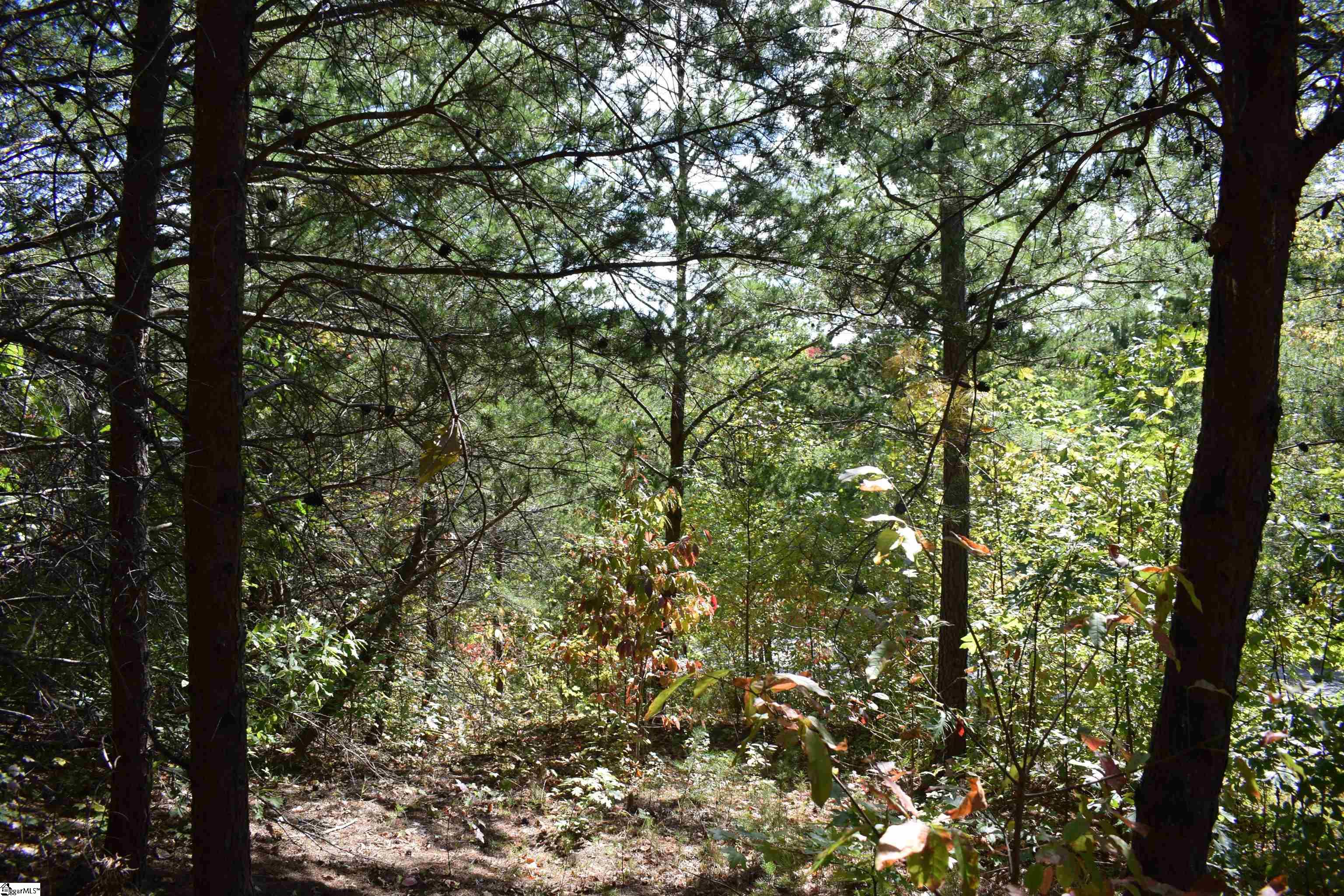 Holland, Columbus, North Carolina image 13