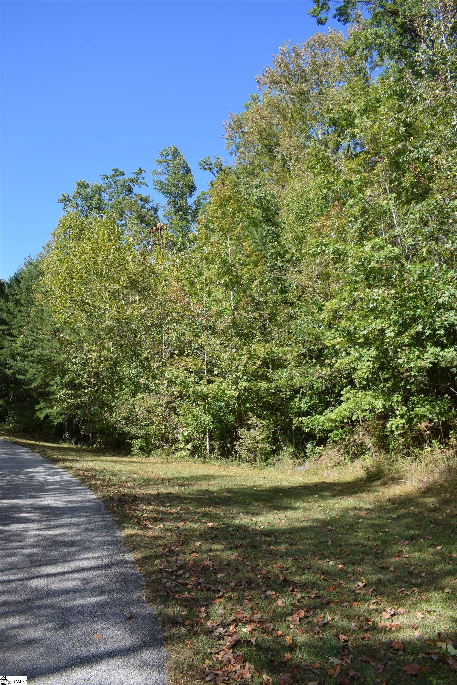 Holland, Columbus, North Carolina image 4