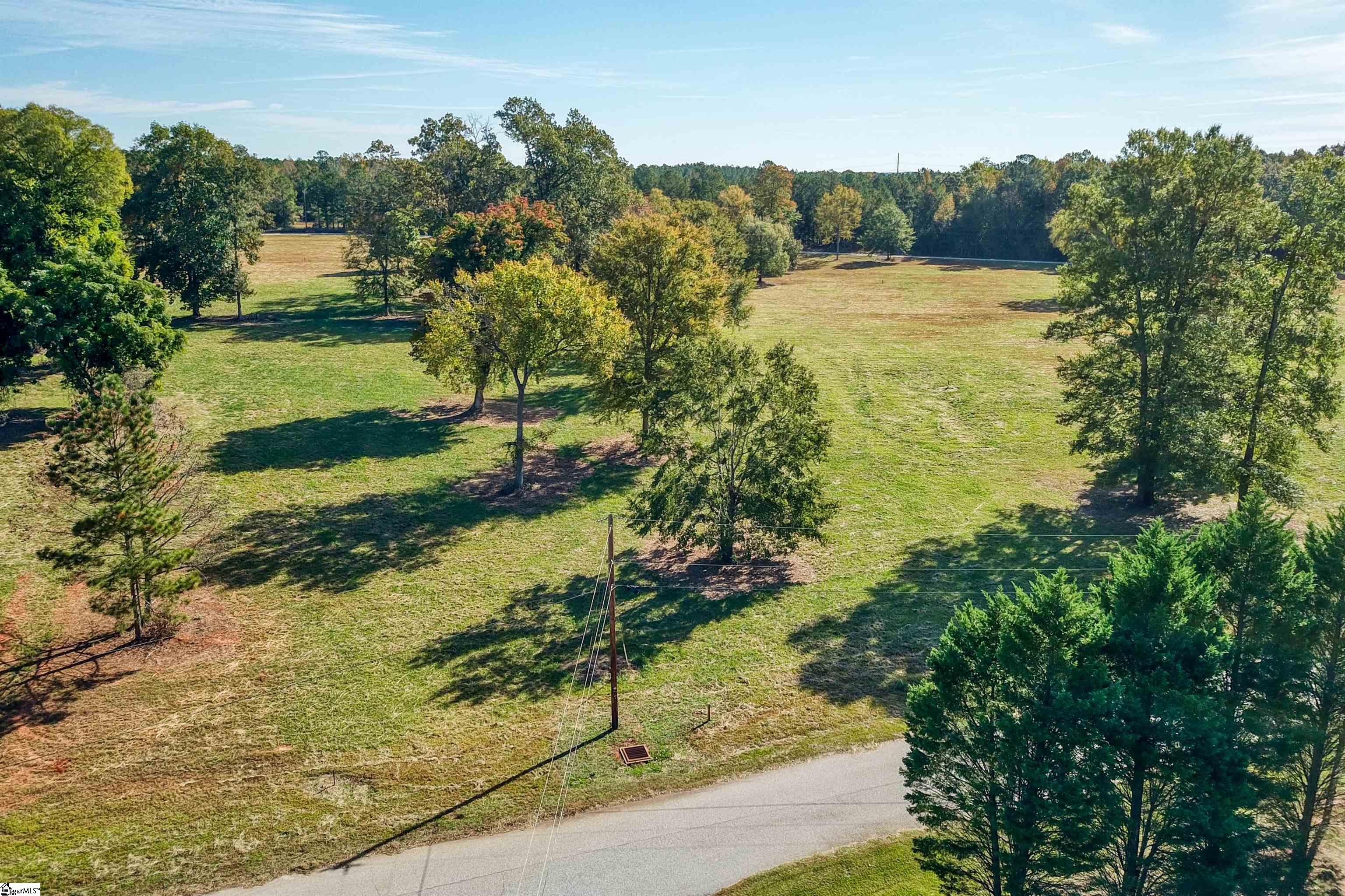 638 Cypress Point, Chappells, South Carolina image 3