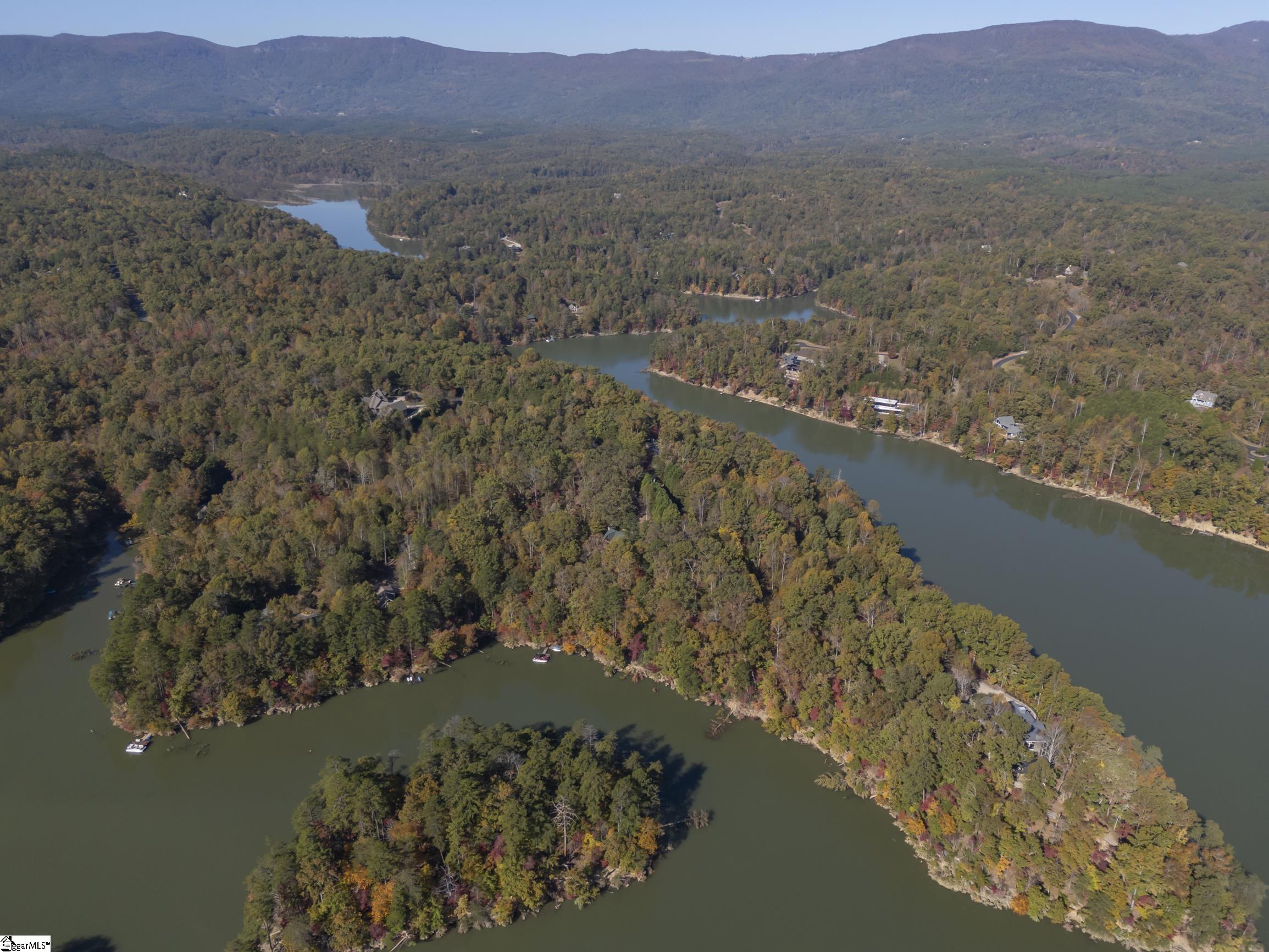 120 Summer, Mill Spring, North Carolina image 37