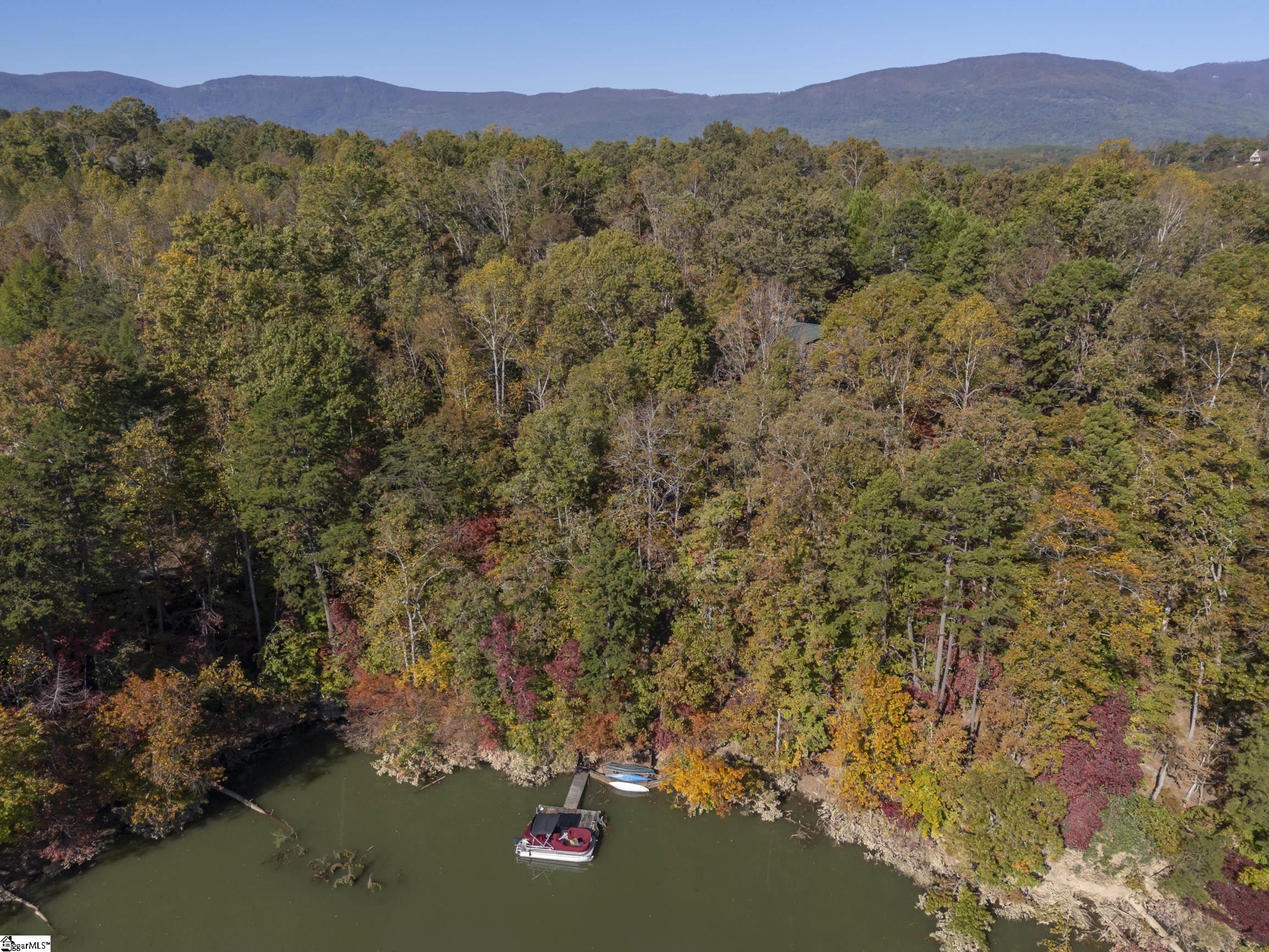 120 Summer, Mill Spring, North Carolina image 38