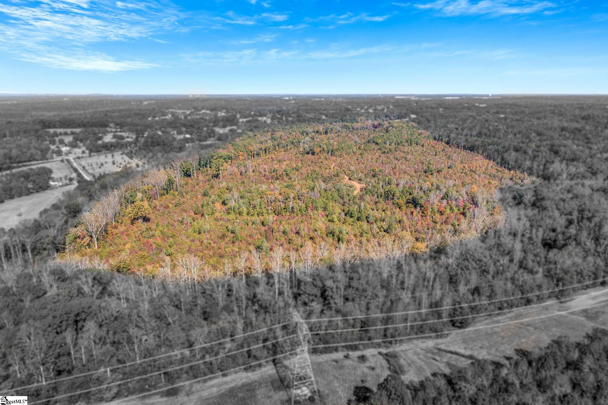 00 Highway 418, Fountain Inn, South Carolina image 2