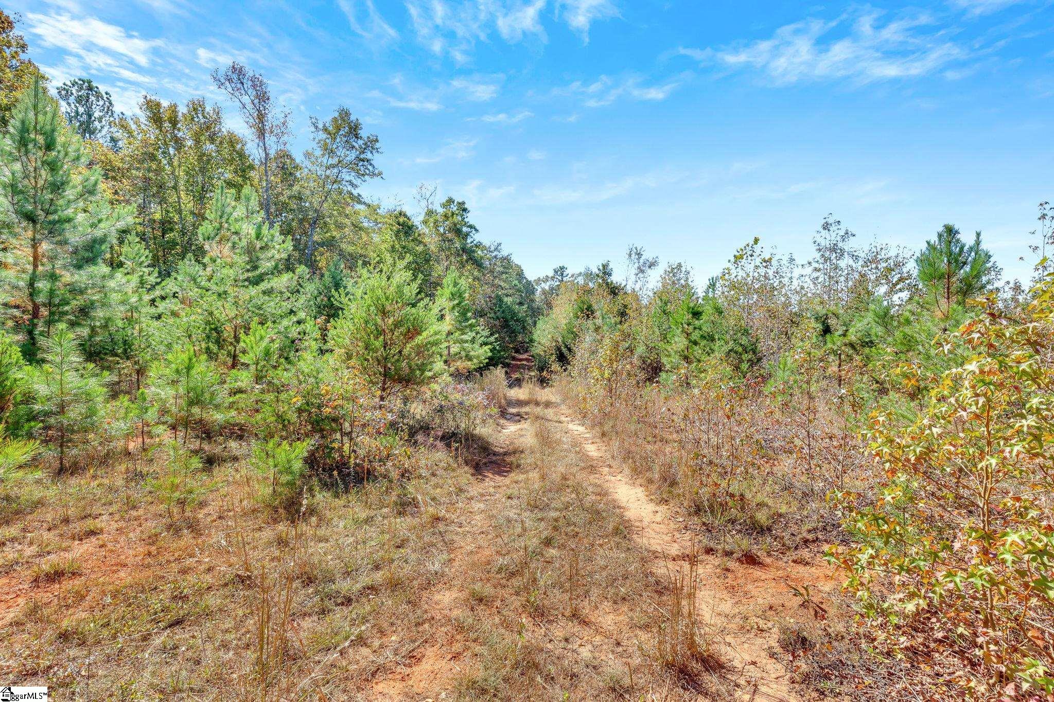 00 Highway 418, Fountain Inn, South Carolina image 17