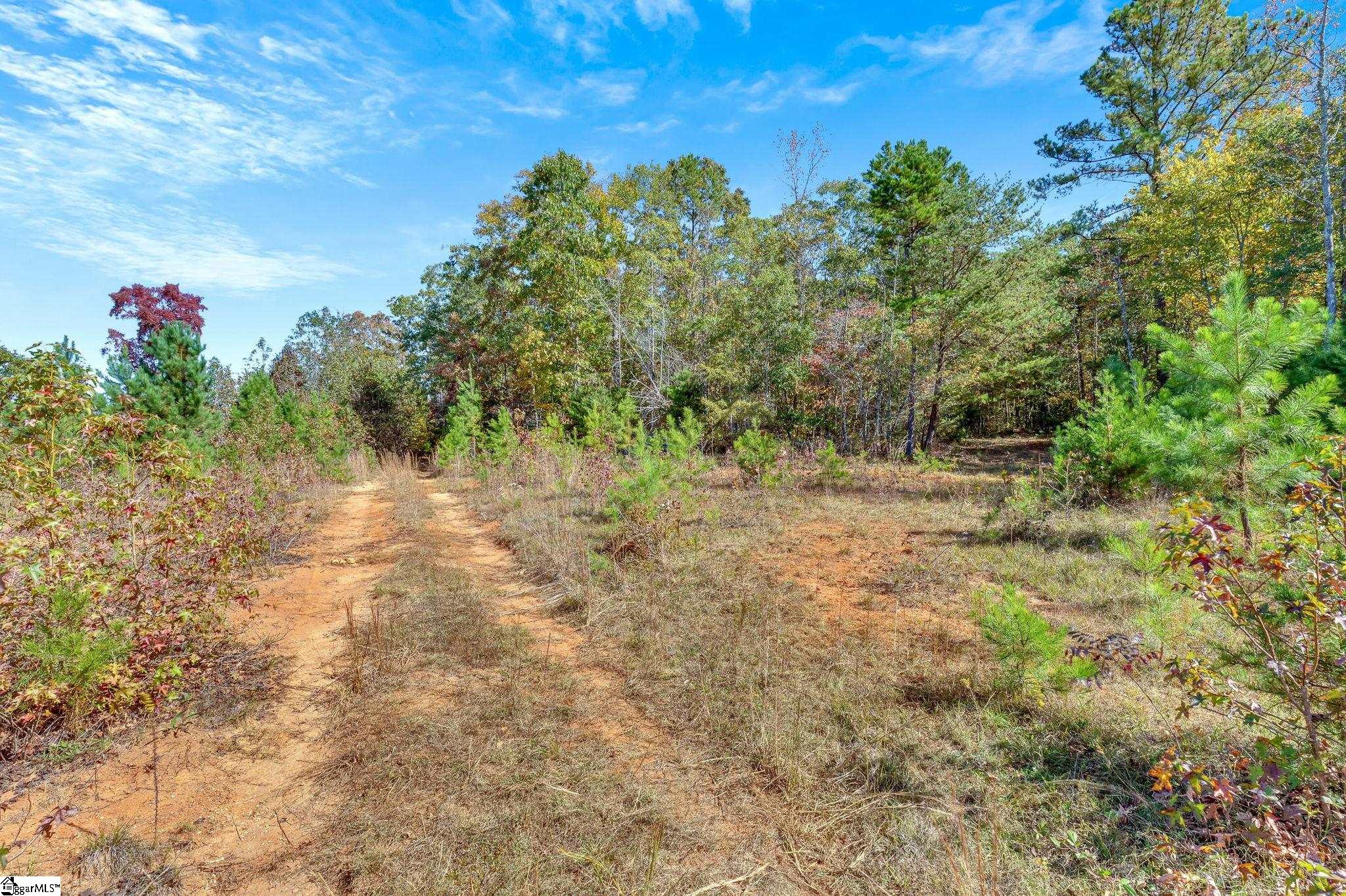00 Highway 418, Fountain Inn, South Carolina image 18