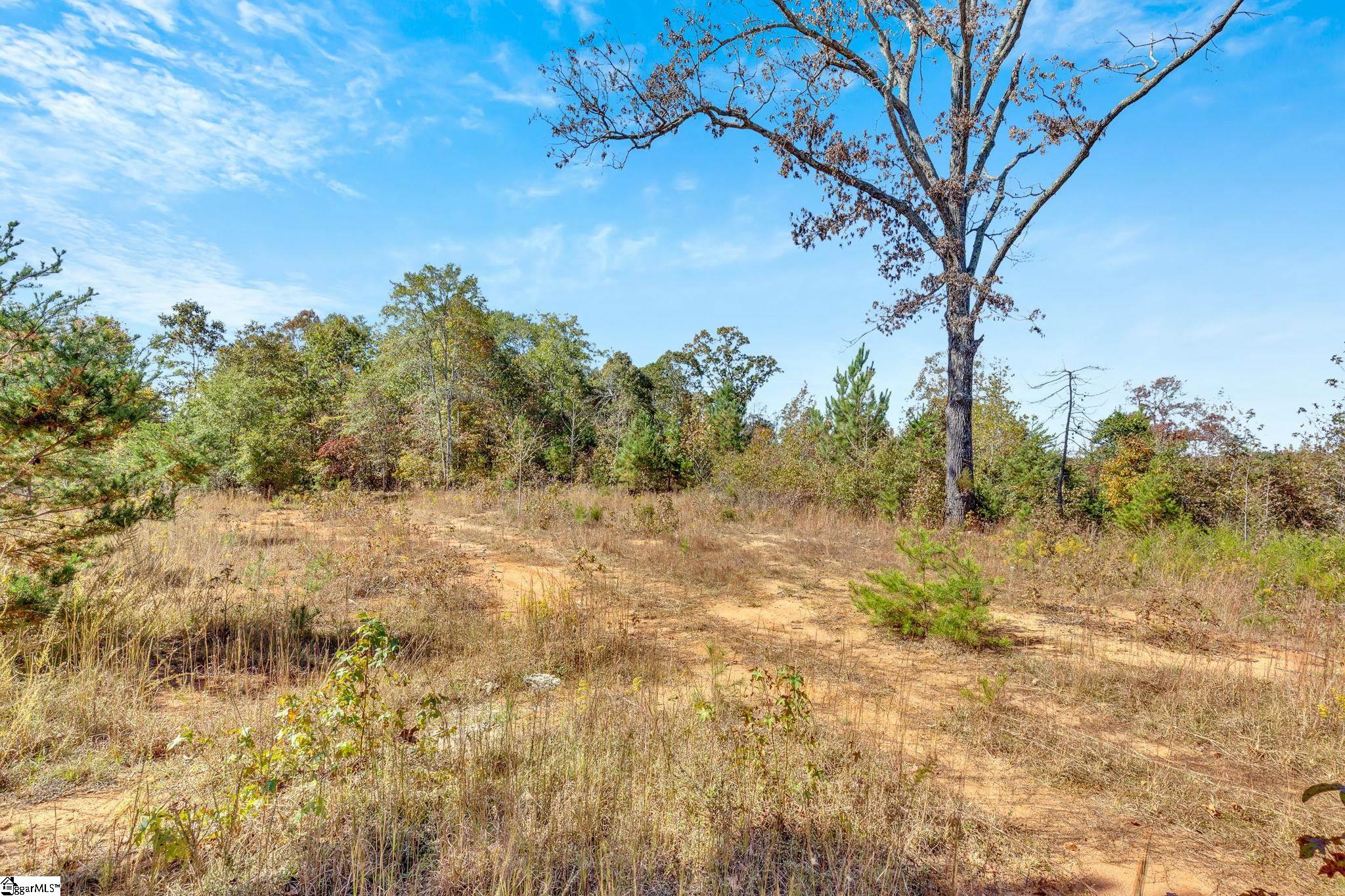00 Highway 418, Fountain Inn, South Carolina image 20