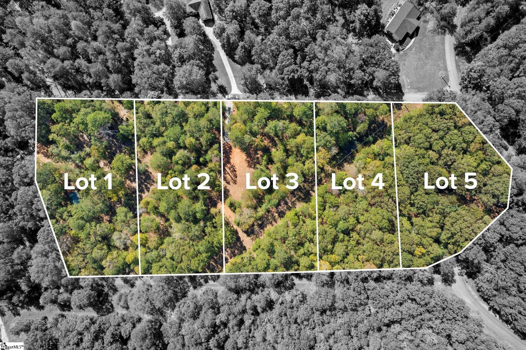 01 Camp Creek, Townville, South Carolina image 5