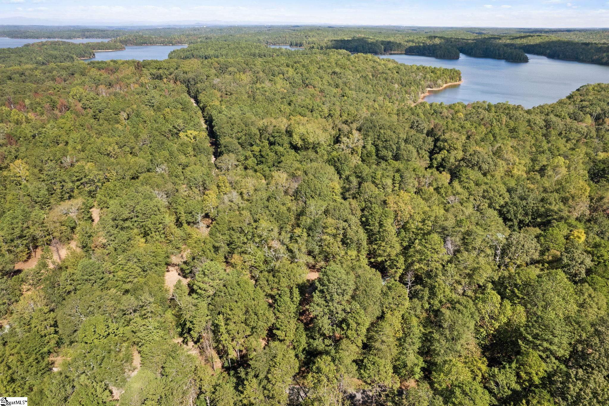 02 Camp Creek, Townville, South Carolina image 6