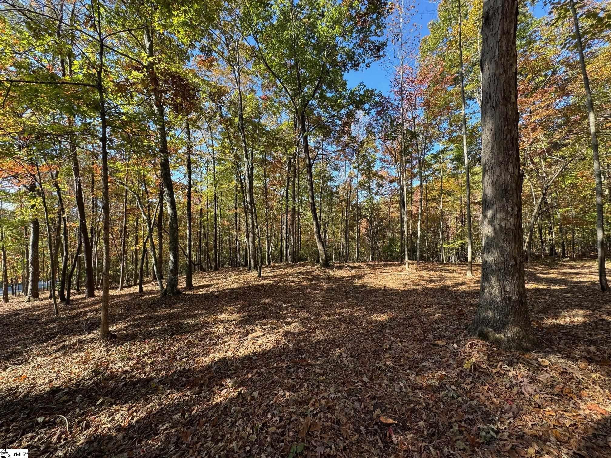 45 Darting Sparrow, Marietta, South Carolina image 6