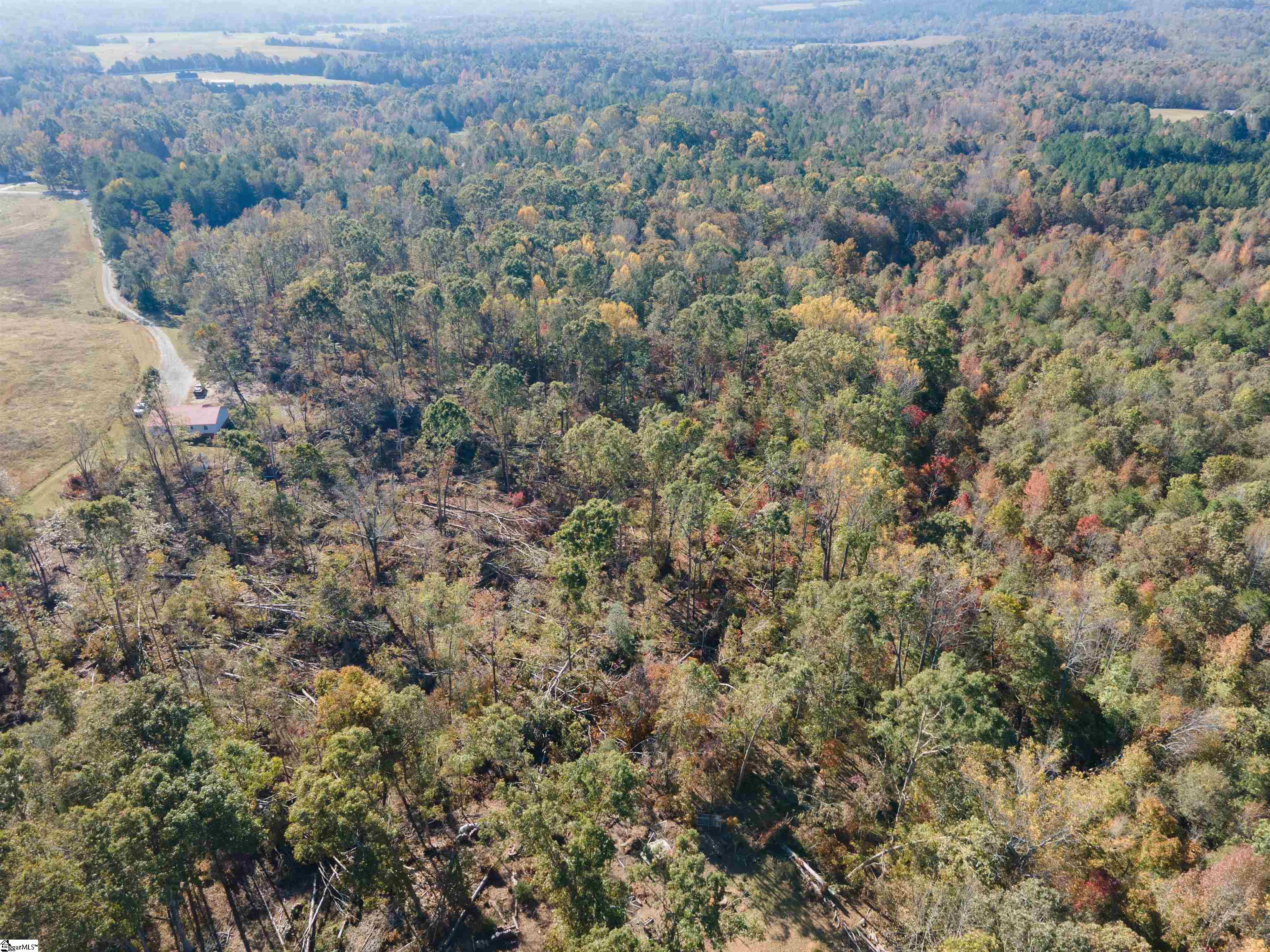 Parsons, Woodruff, South Carolina image 4