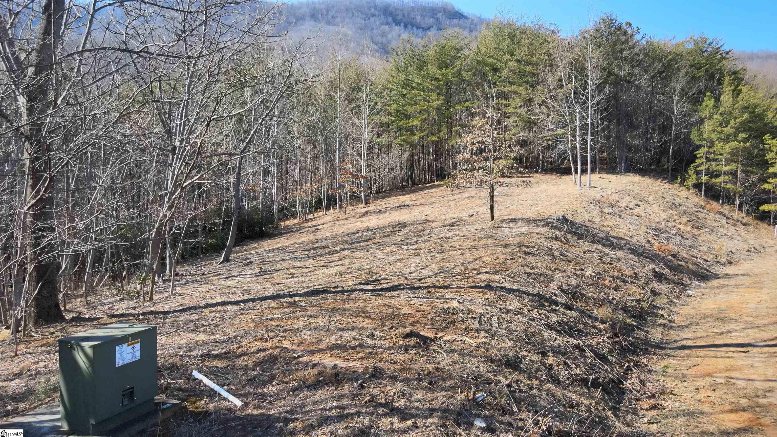 00 Birkdale, Mill Spring, North Carolina image 11